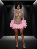 Abbi Mesh Feather Mini Dress
