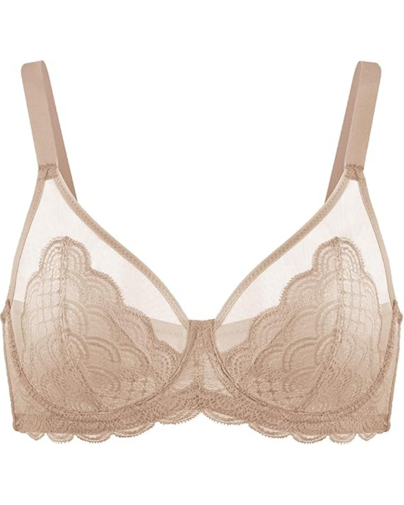 Sexy Lace Sheer Mesh Bra