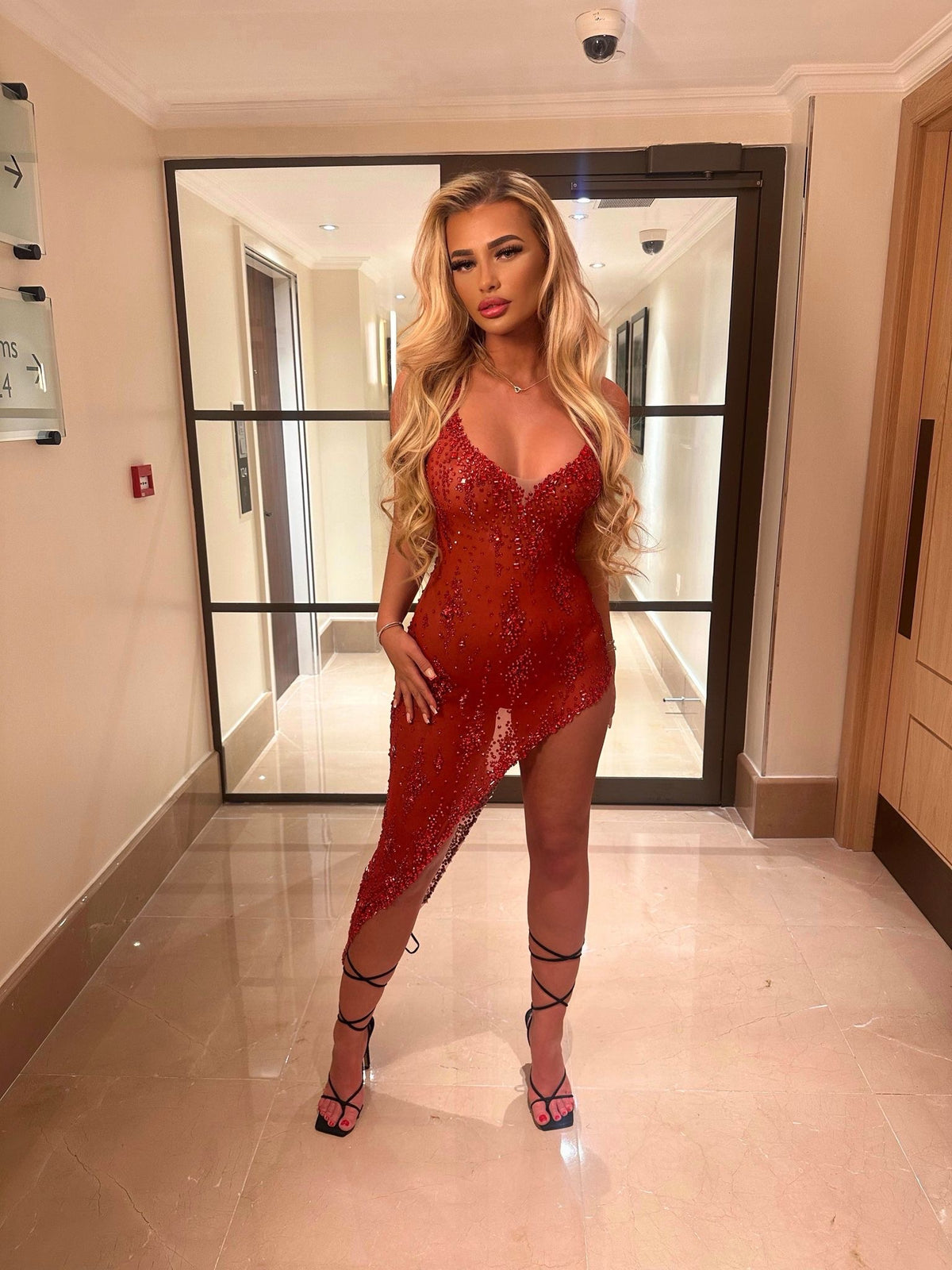 Isabella Mesh Dress