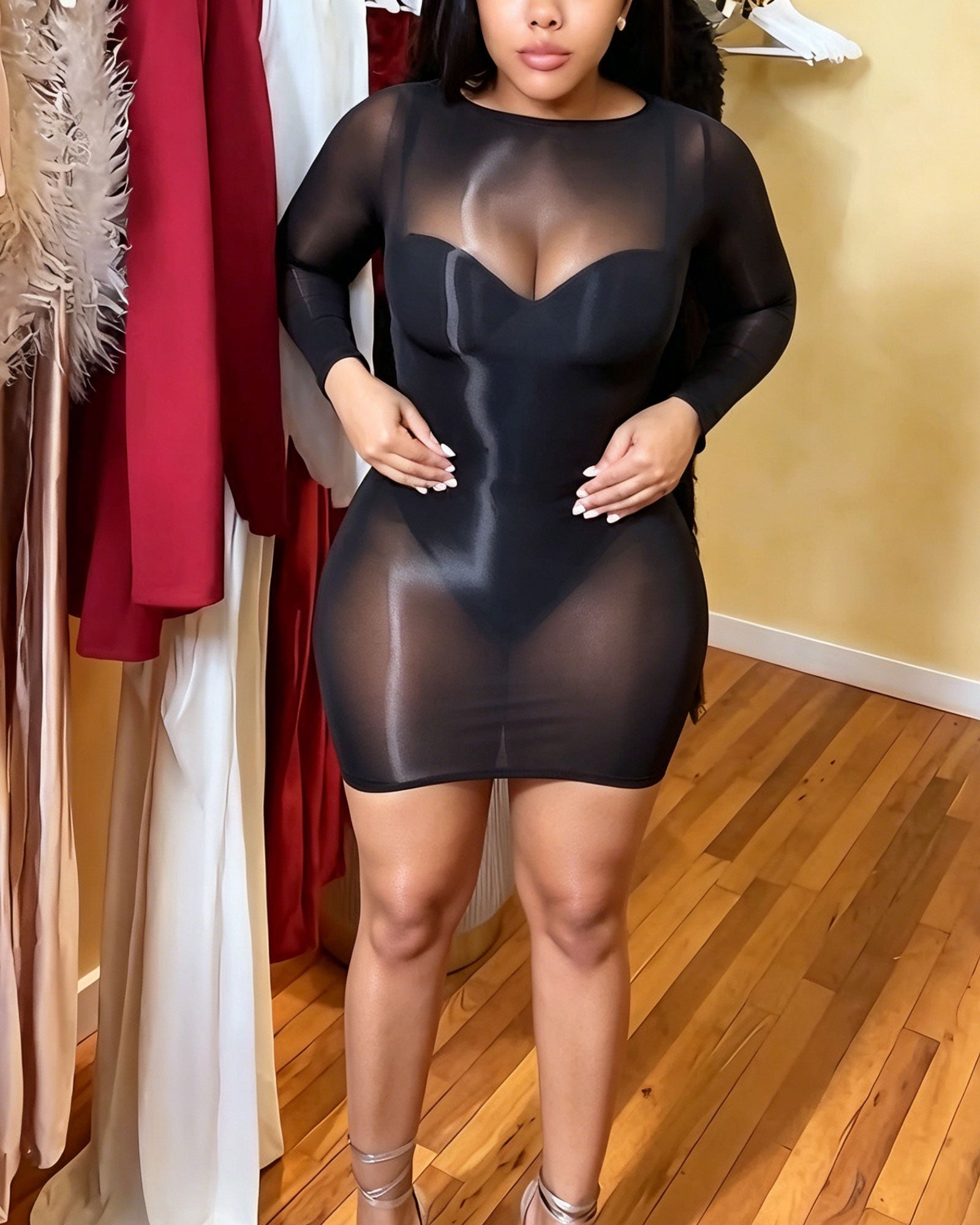 Sheer Mesh Long Sleeve Bodycon Mini Dress