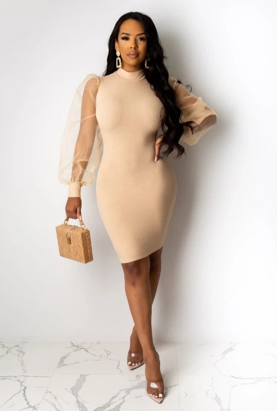 Cierra Mesh Sleeve Mini Dress Tan