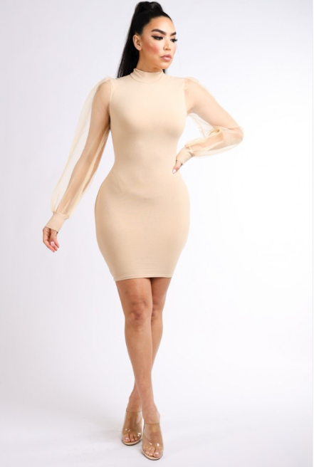 Cierra Mesh Sleeve Mini Dress