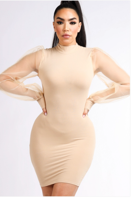 Cierra Mesh Sleeve Mini Dress