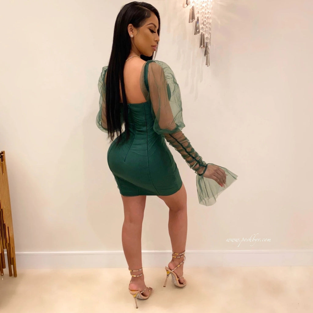 Elegant Bodycon Mini Dress