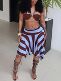 Halter Bikini Top & Skirt Set