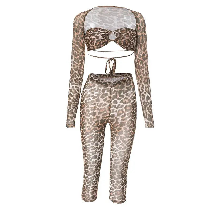 On Top Mesh Pants Set