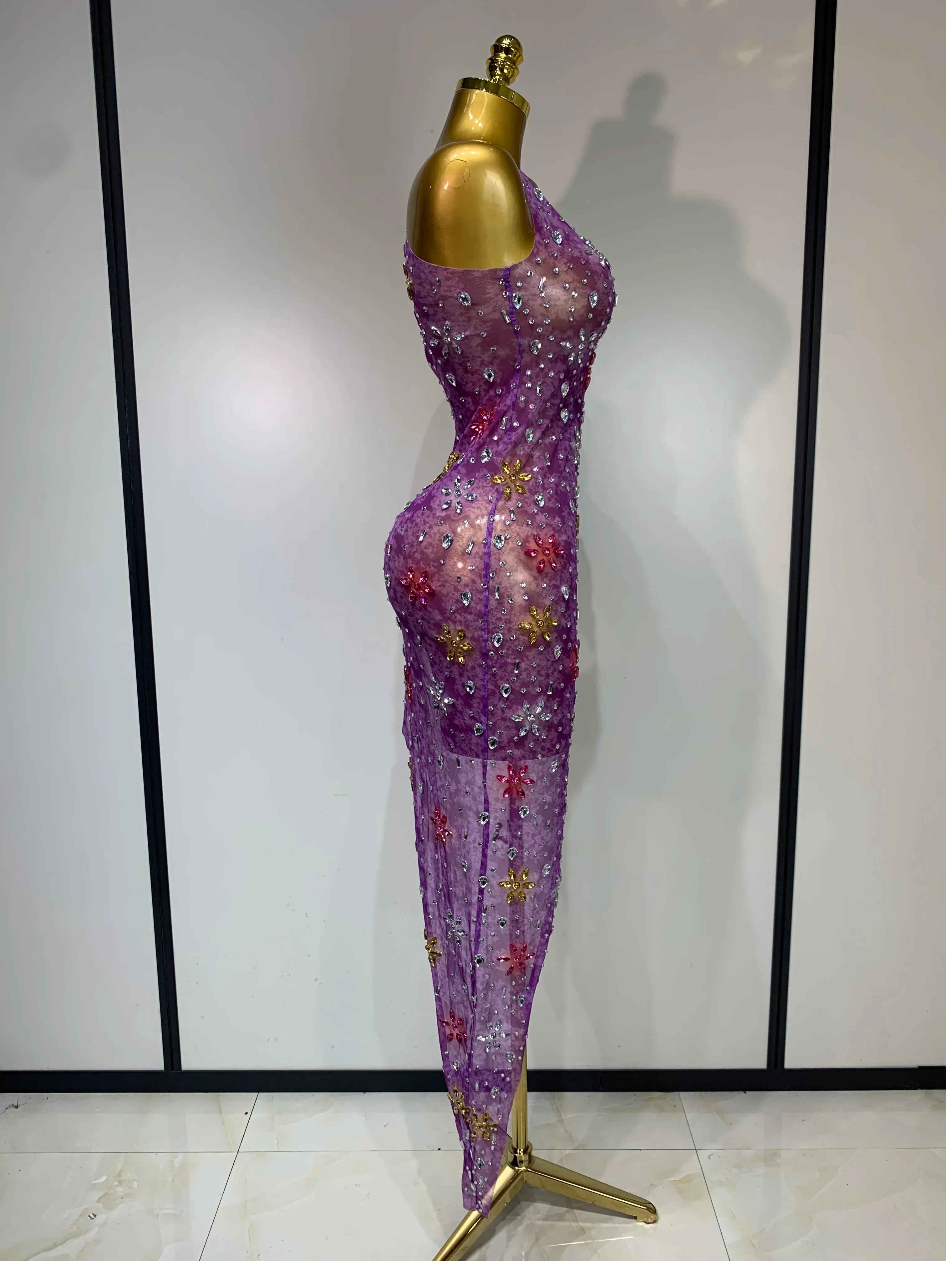 Layna Mesh Dress