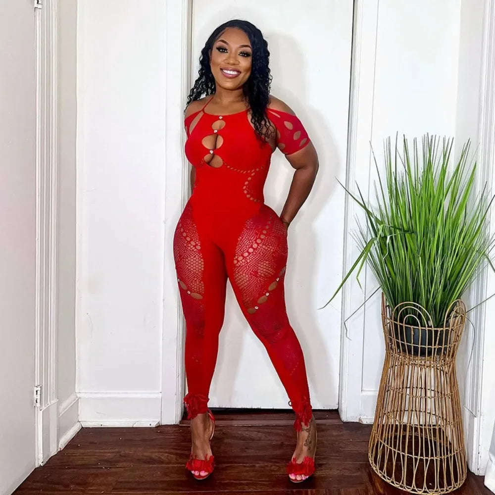 Tania Mesh Jumpsuit