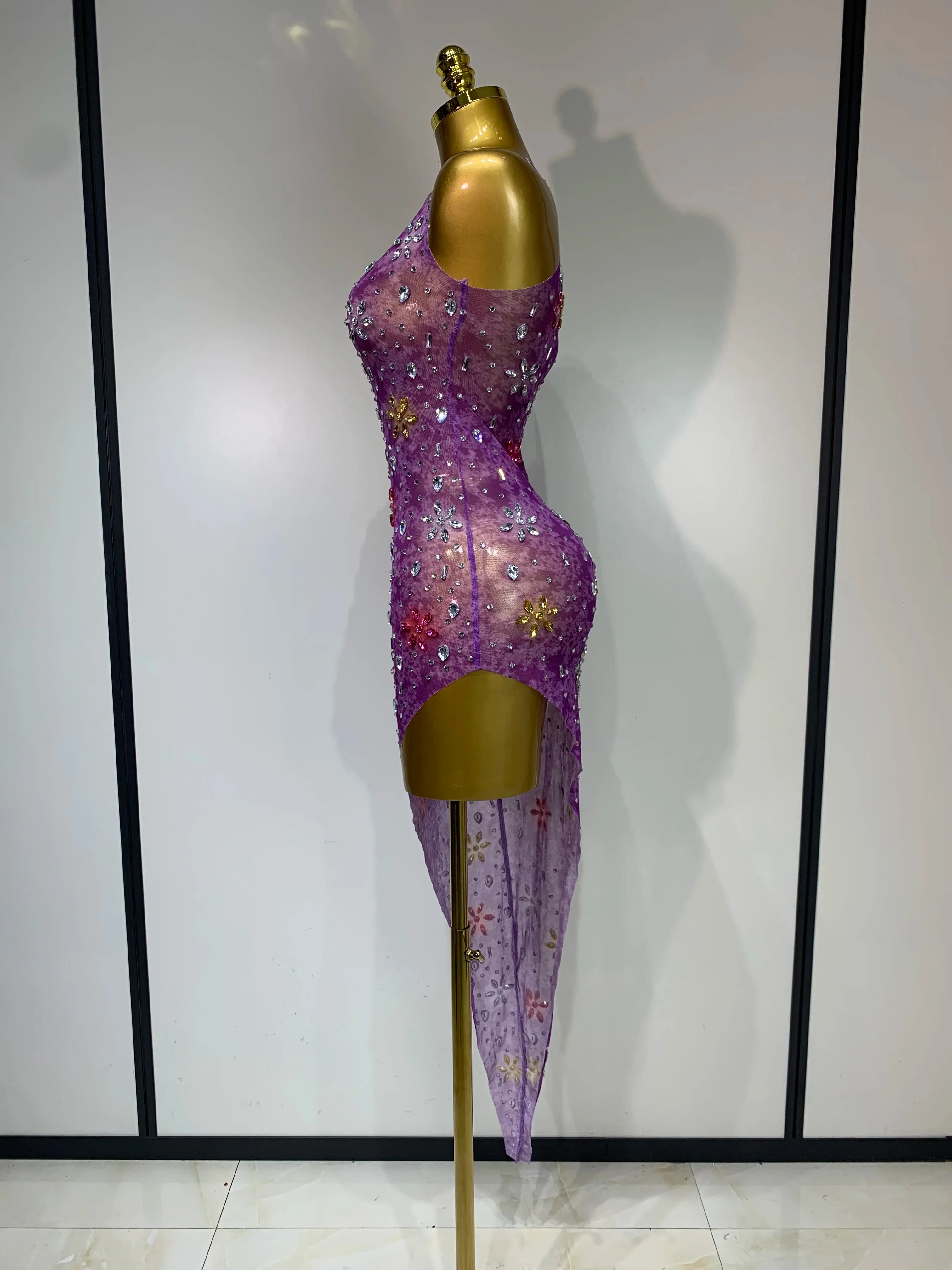 Layna Mesh Dress