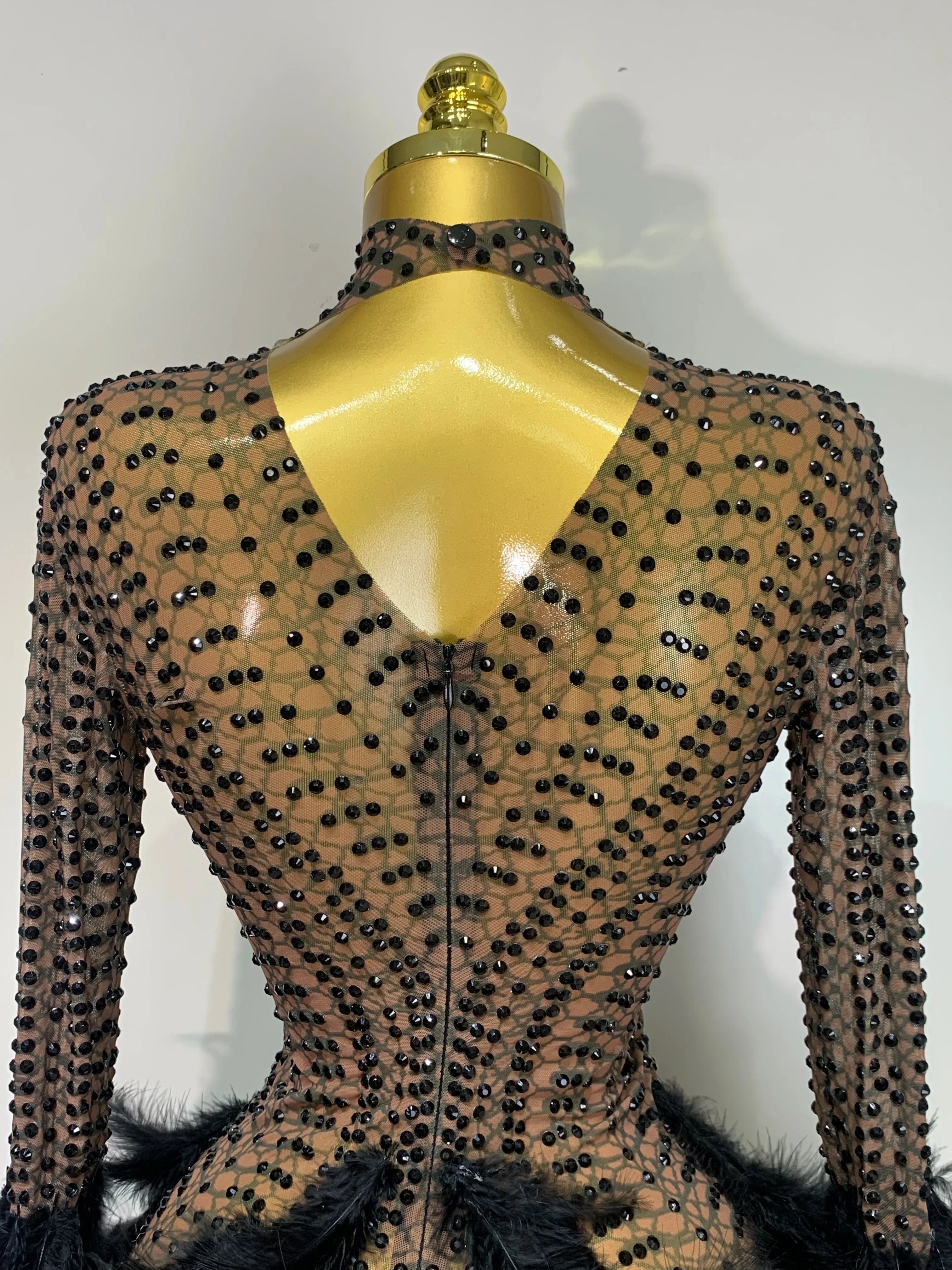 Abbi Mesh Feather Mini Dress