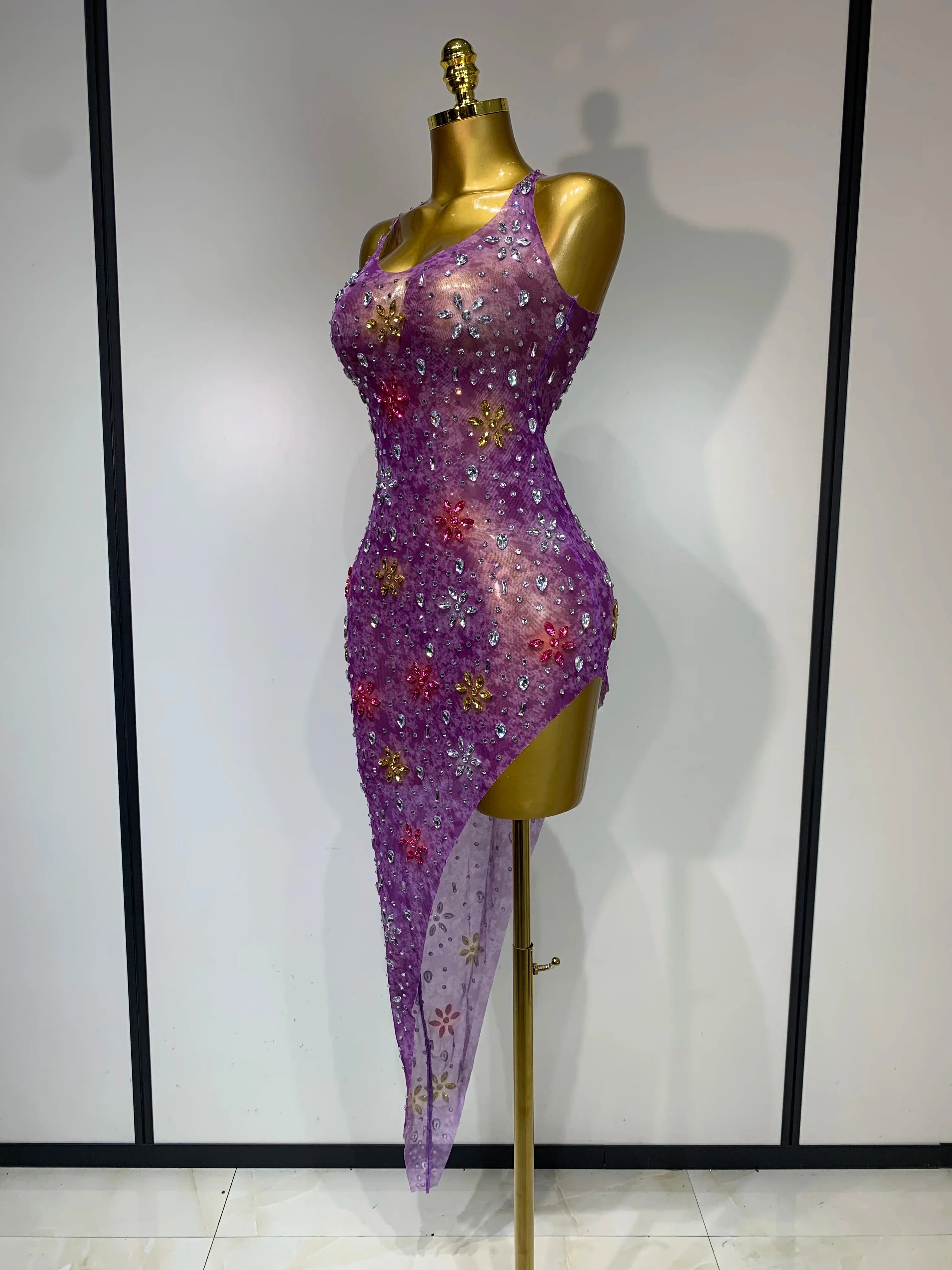 Layna Mesh Dress