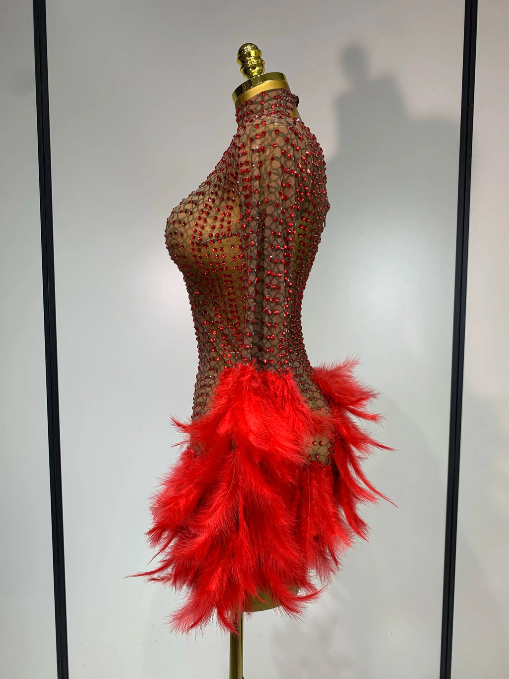 Abbi Mesh Feather Mini Dress