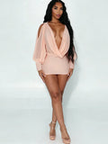 Wilna Mesh Mini Dress