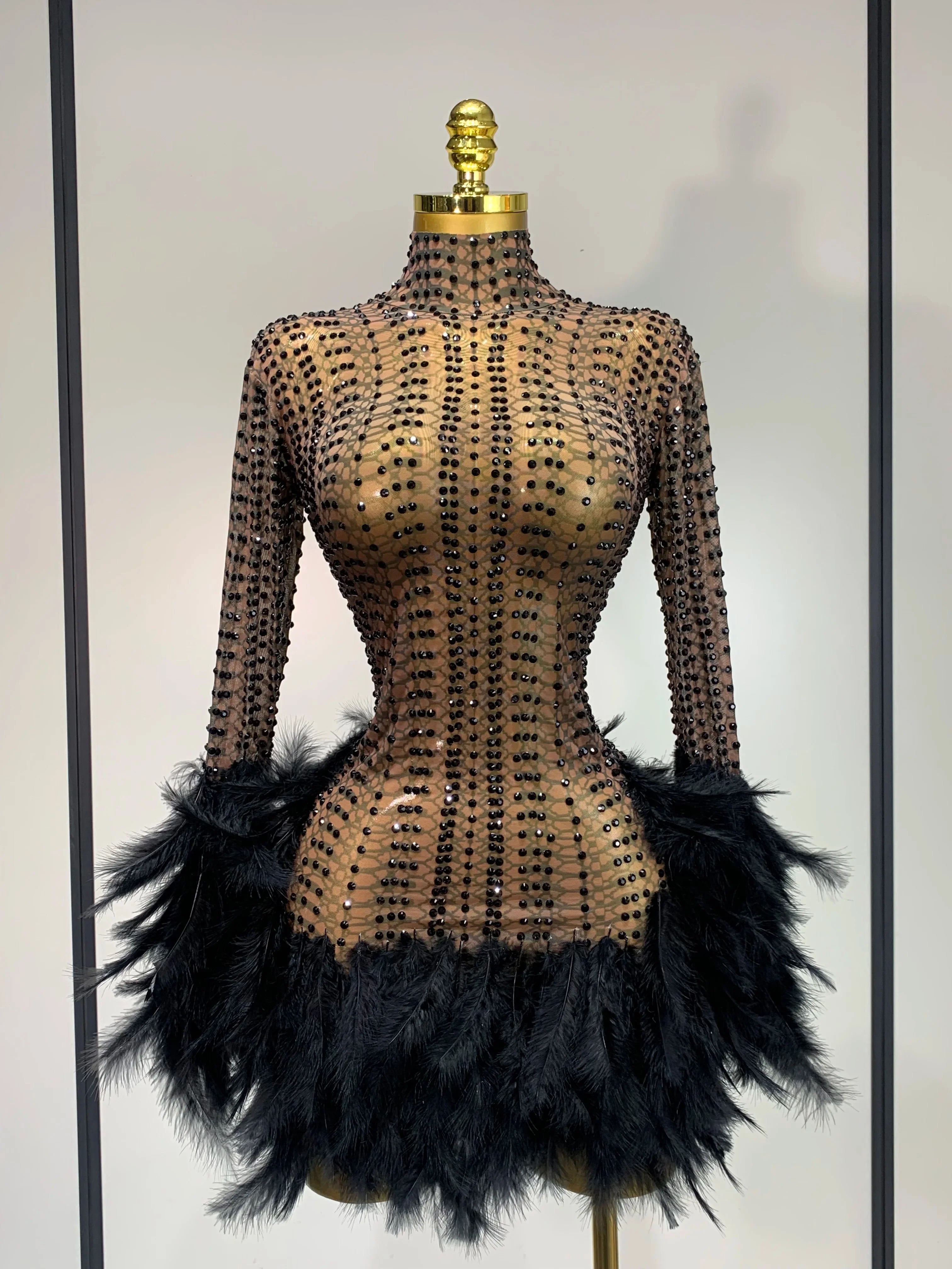 Abbi Mesh Feather Mini Dress