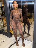 Wild Nights Leopard Mesh Pants Set Leopard Print