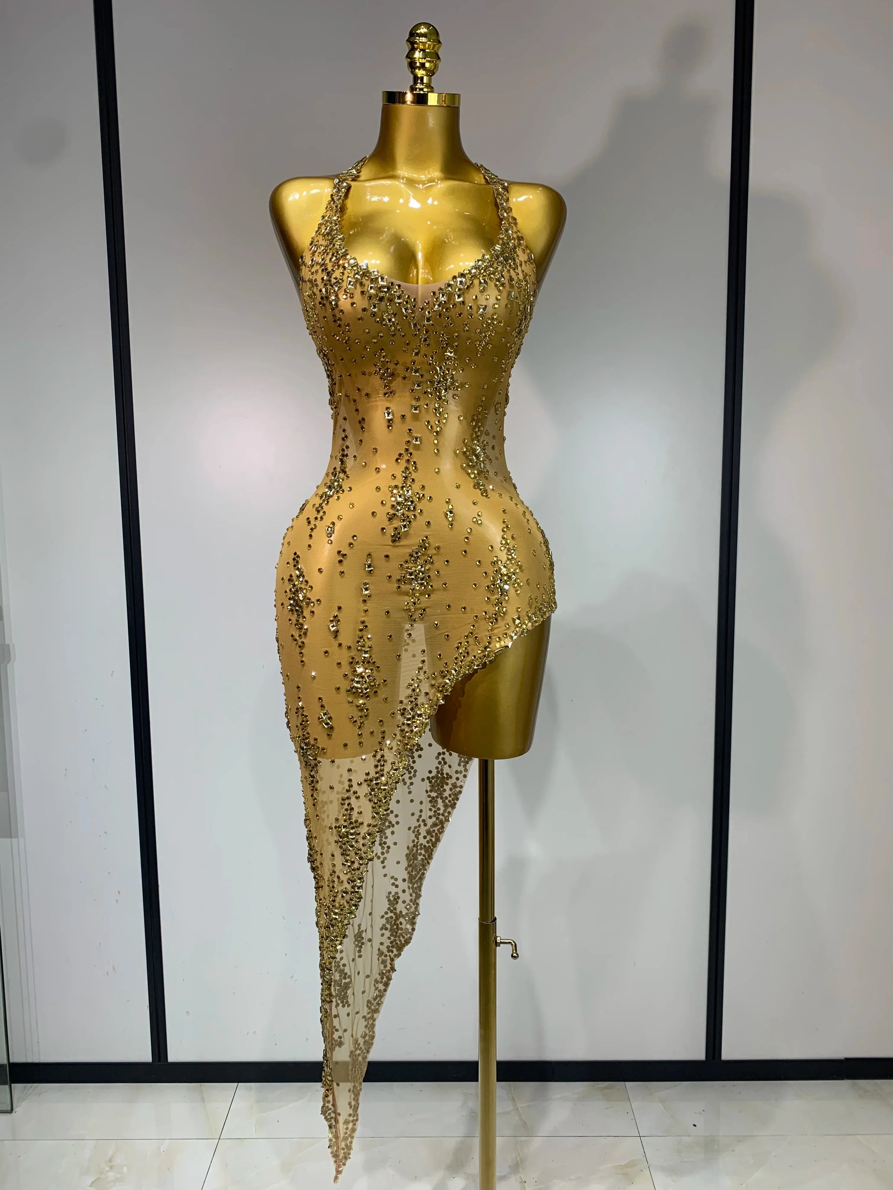 Isabella Mesh Dress