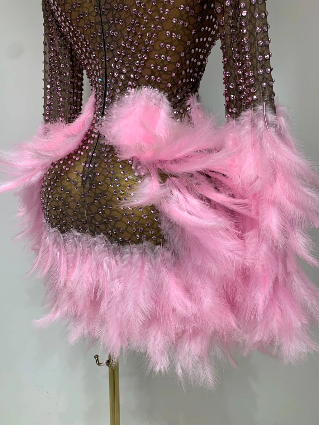 Abbi Mesh Feather Mini Dress