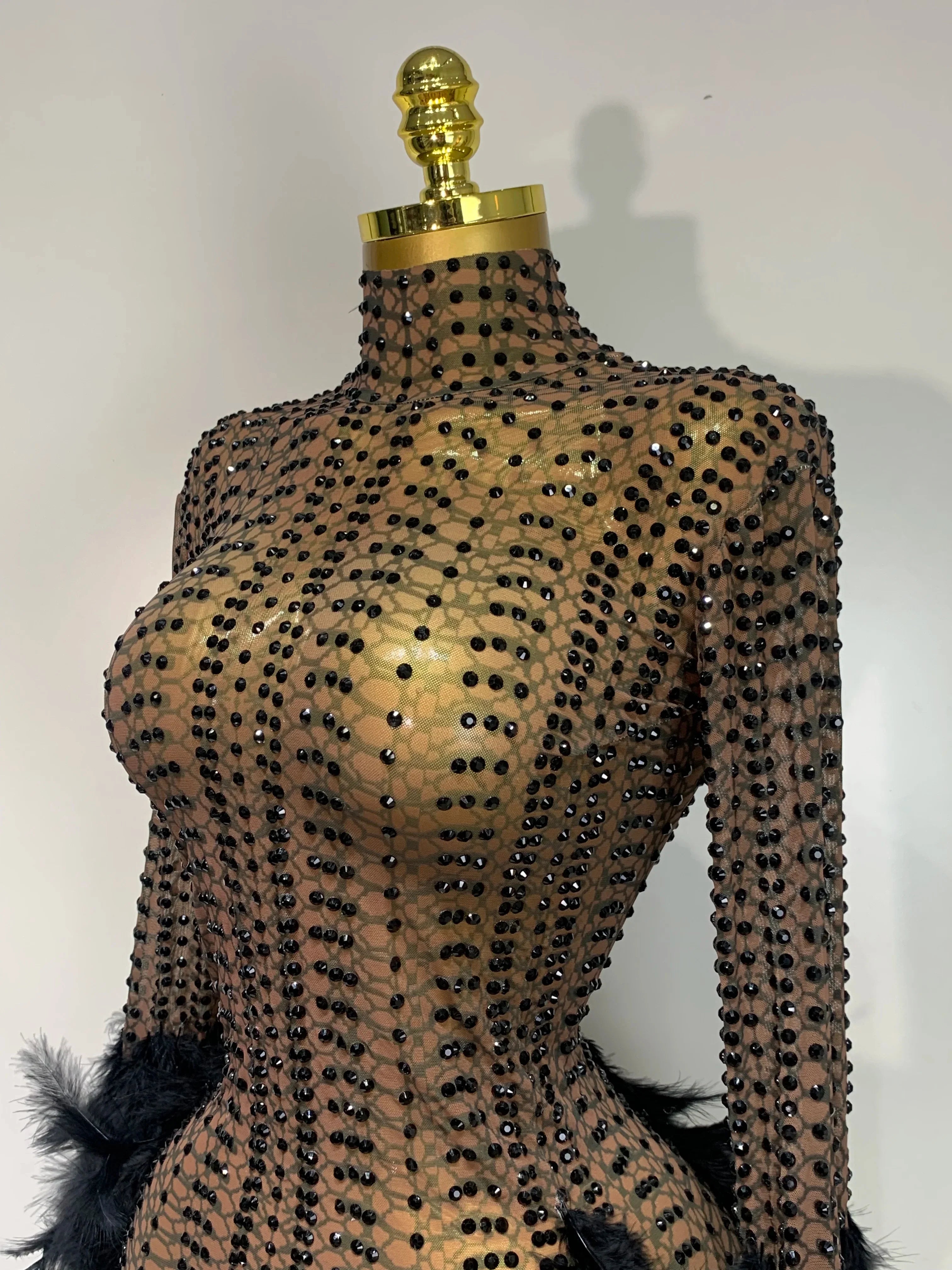 Abbi Mesh Feather Mini Dress