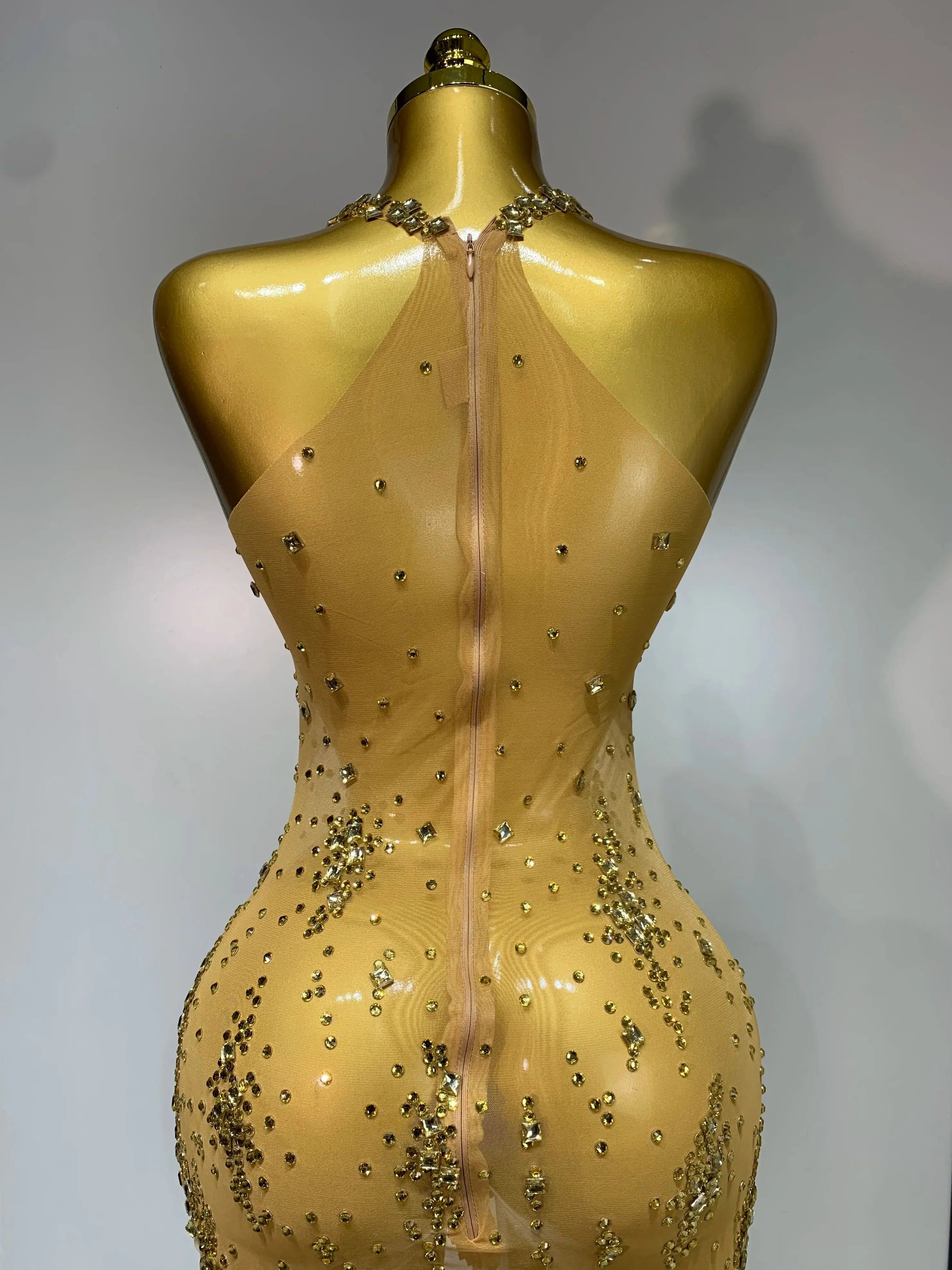 Isabella Mesh Dress