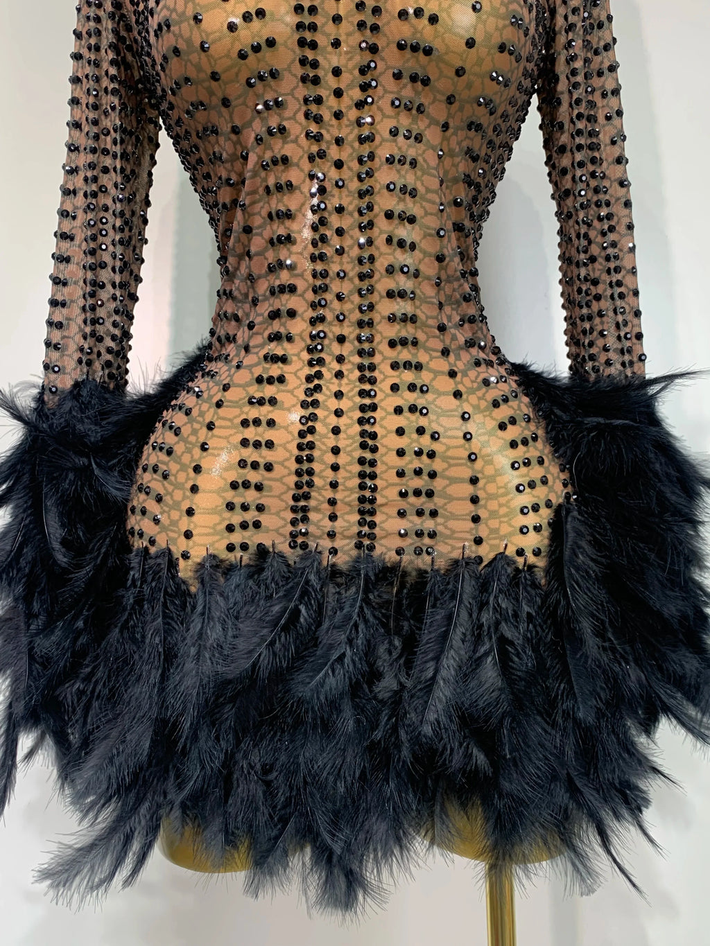 Abbi Mesh Feather Mini Dress