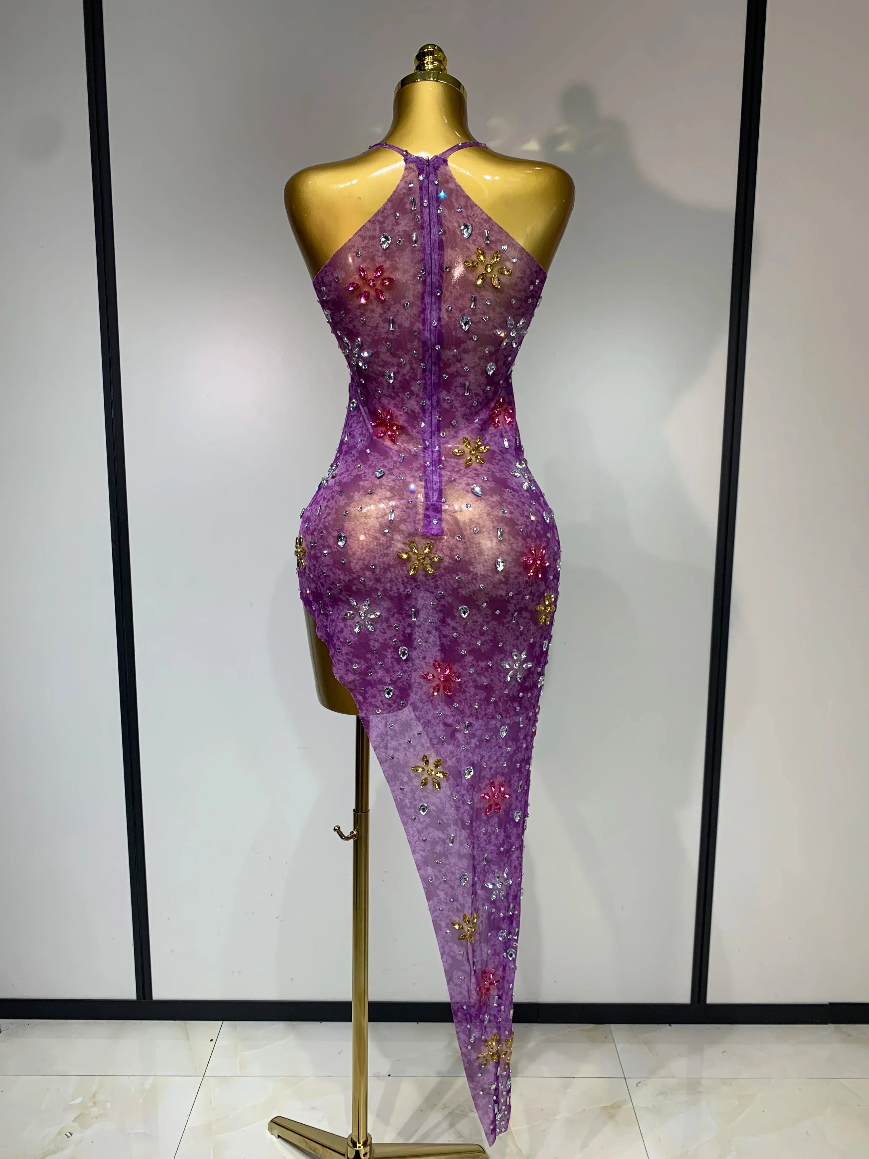 Layna Mesh Dress