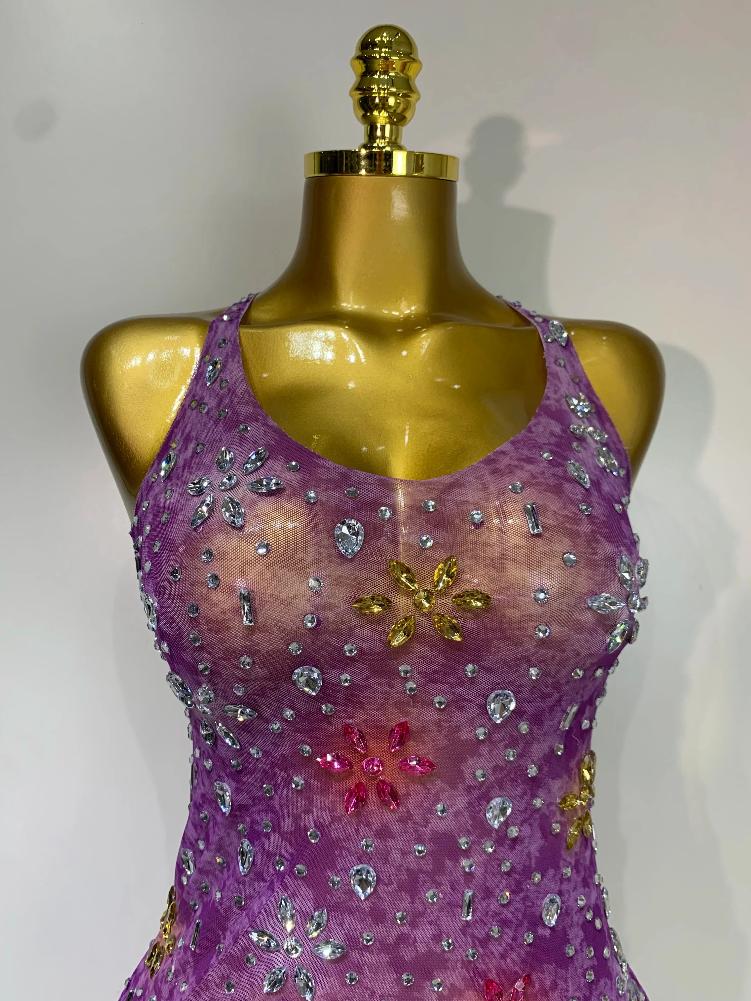 Layna Mesh Dress
