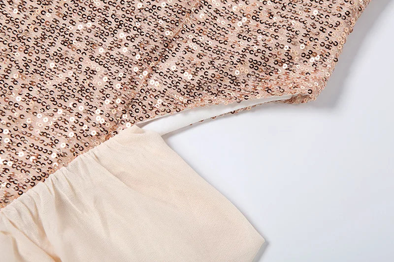 Vanna Mesh Sequin Dress