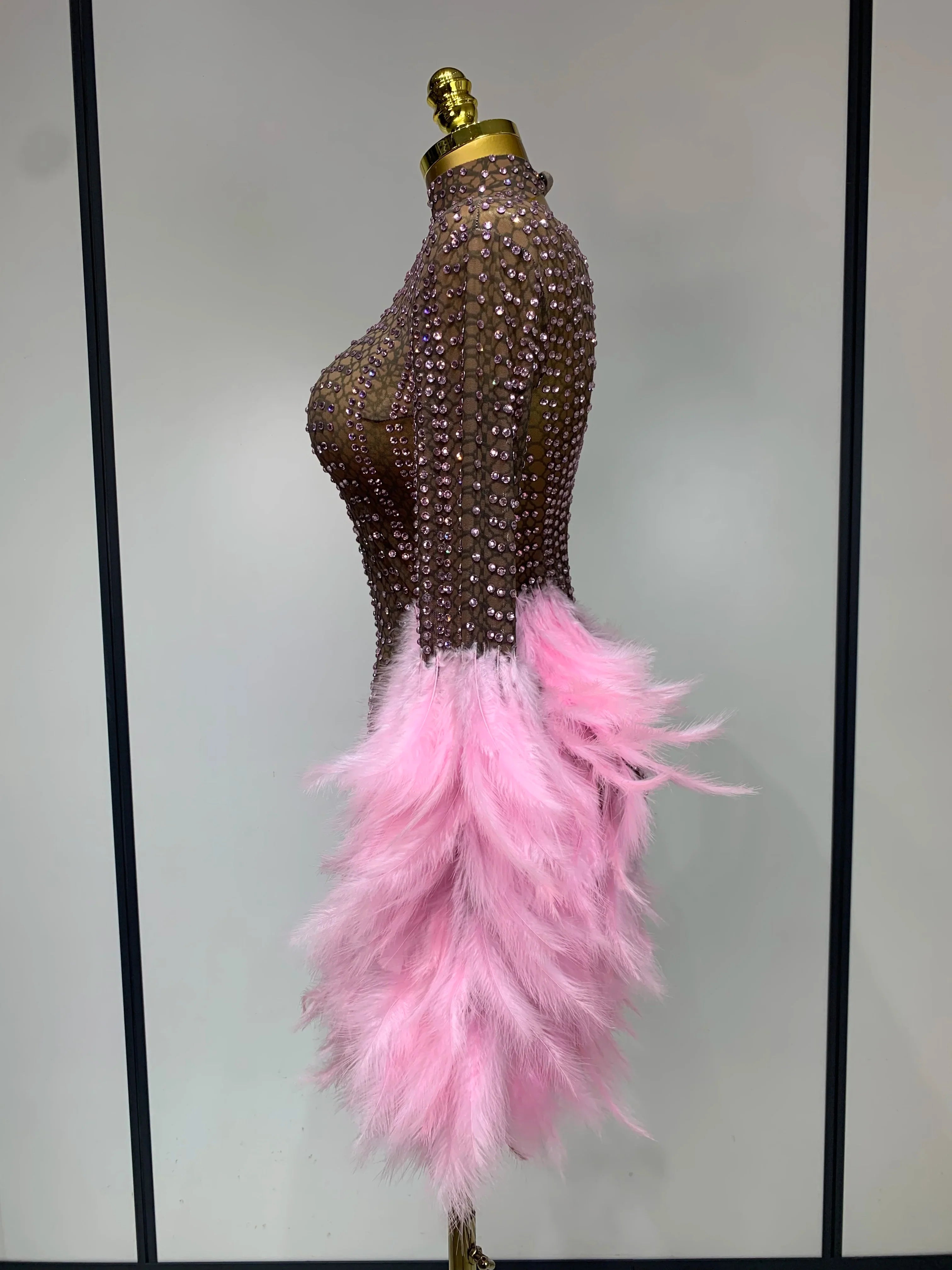 Abbi Mesh Feather Mini Dress