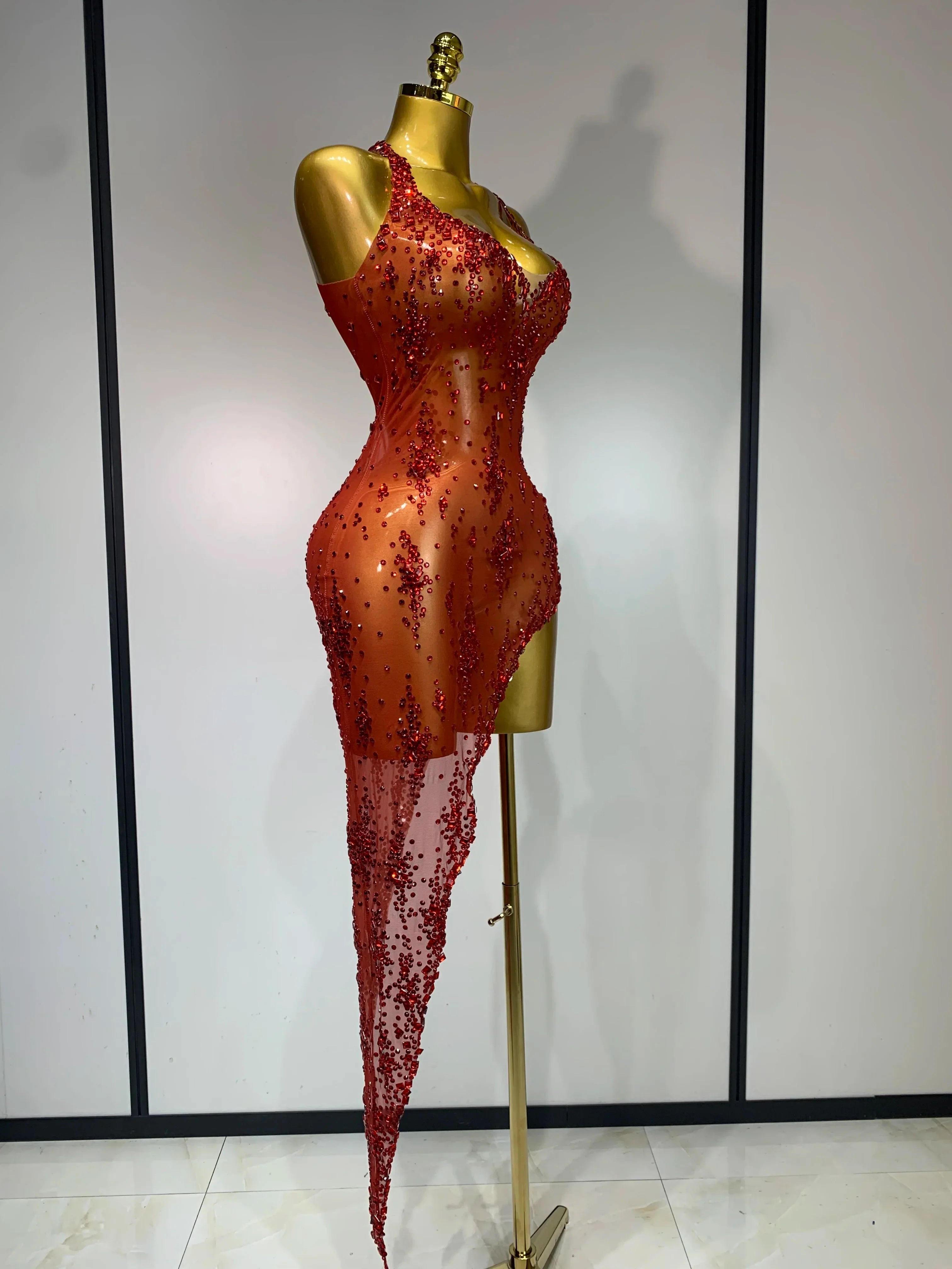 Isabella Mesh Dress