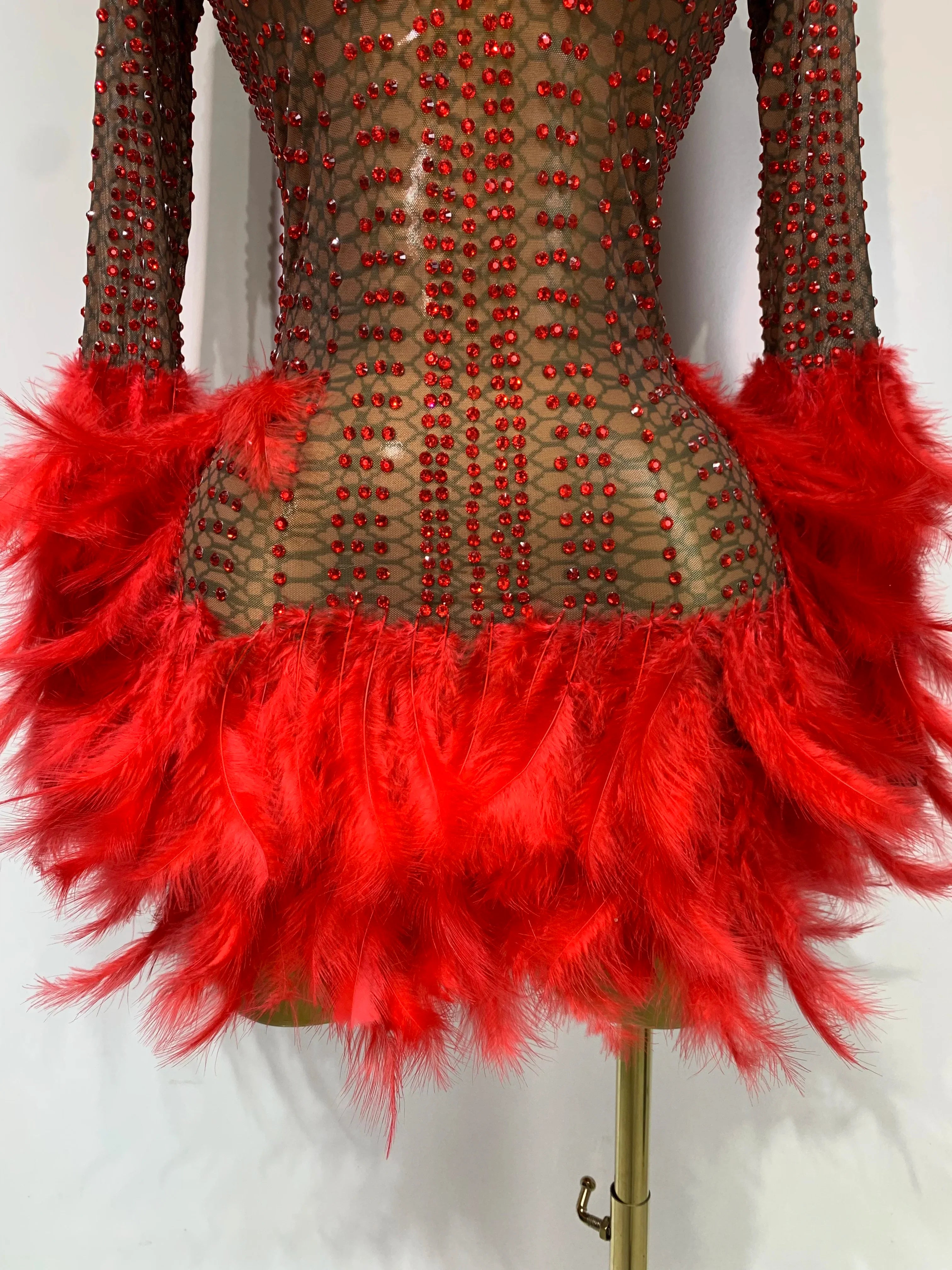 Abbi Mesh Feather Mini Dress