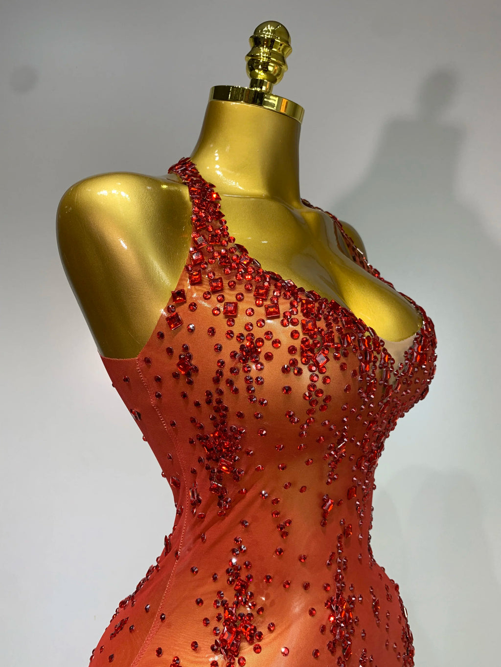 Isabella Mesh Dress