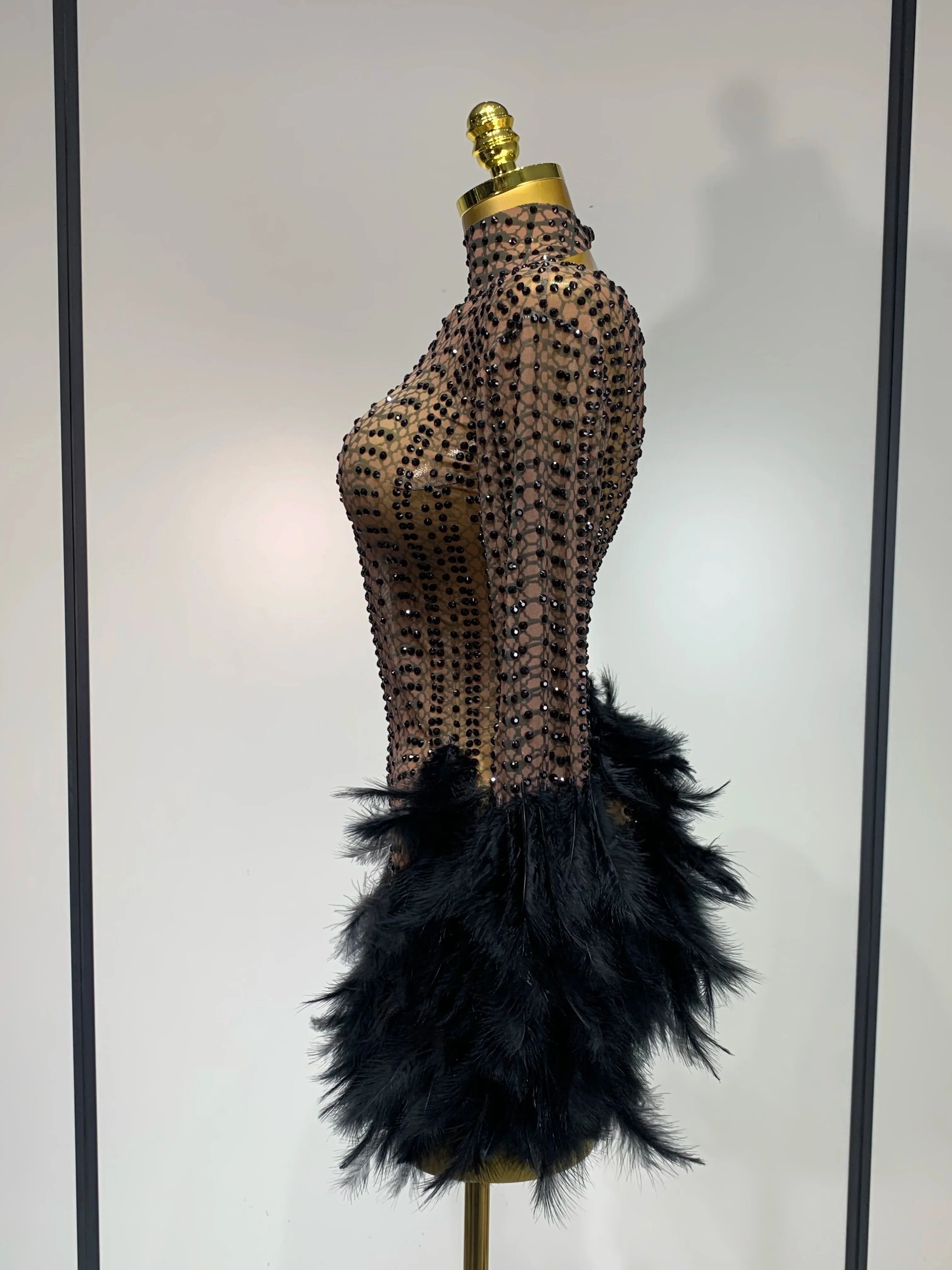 Abbi Mesh Feather Mini Dress