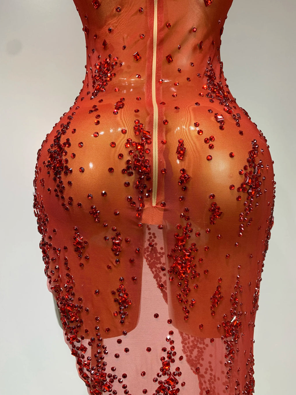 Isabella Mesh Dress