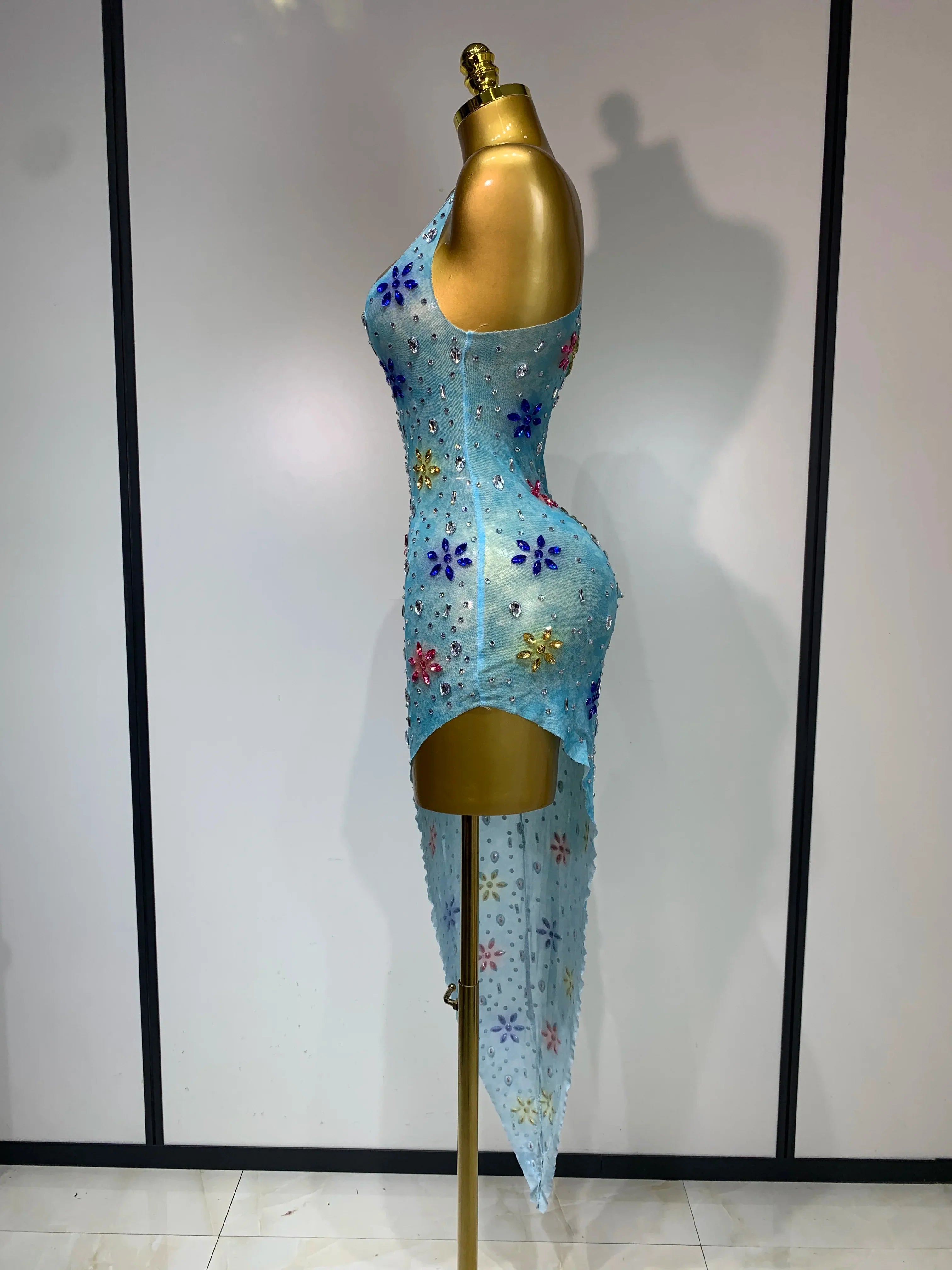 Layna Mesh Dress