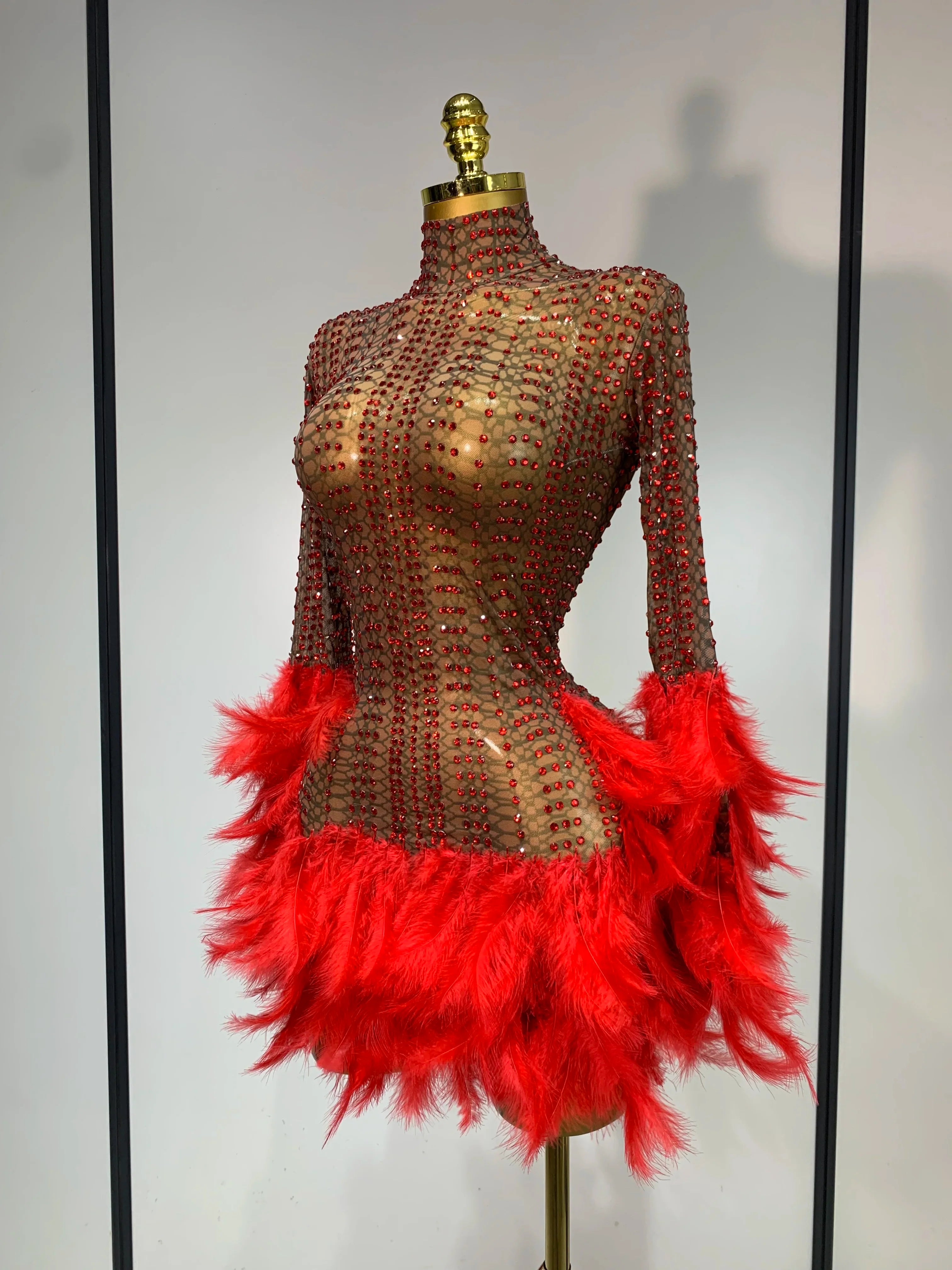 Abbi Mesh Feather Mini Dress