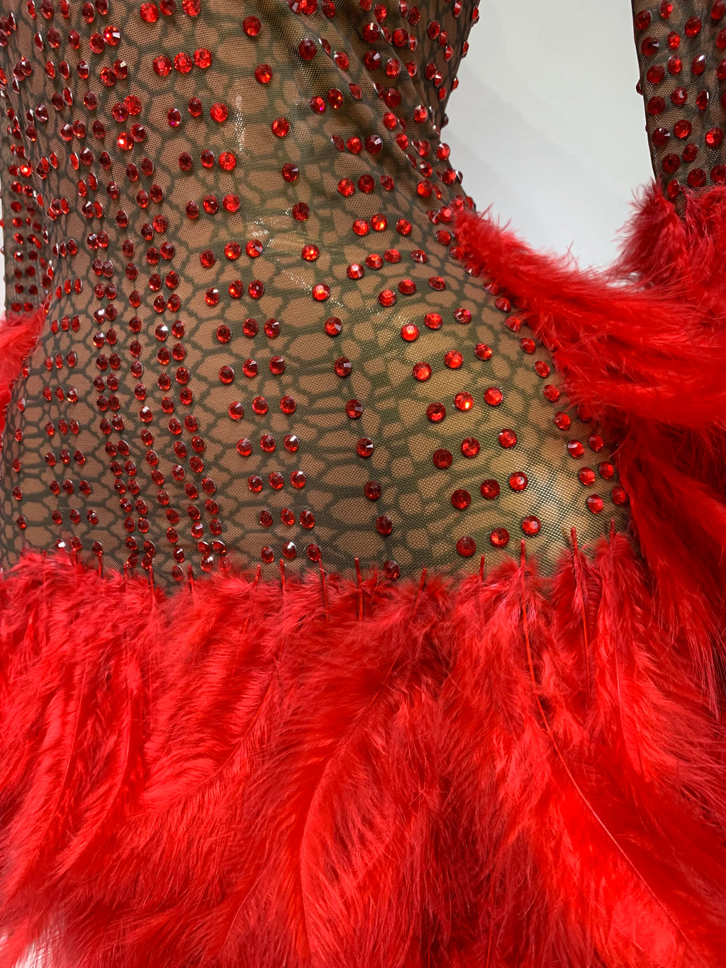 Abbi Mesh Feather Mini Dress
