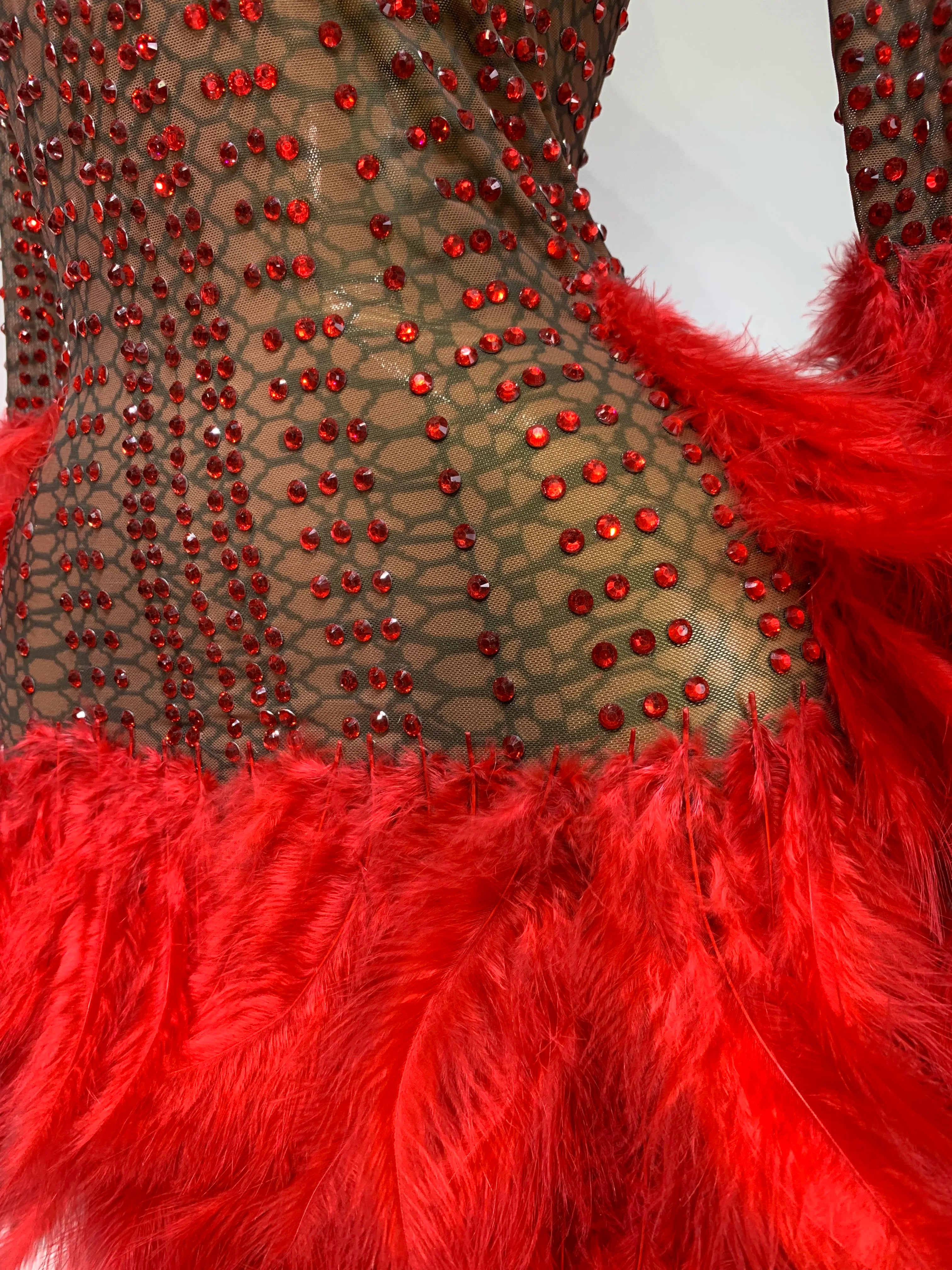 Abbi Mesh Feather Mini Dress