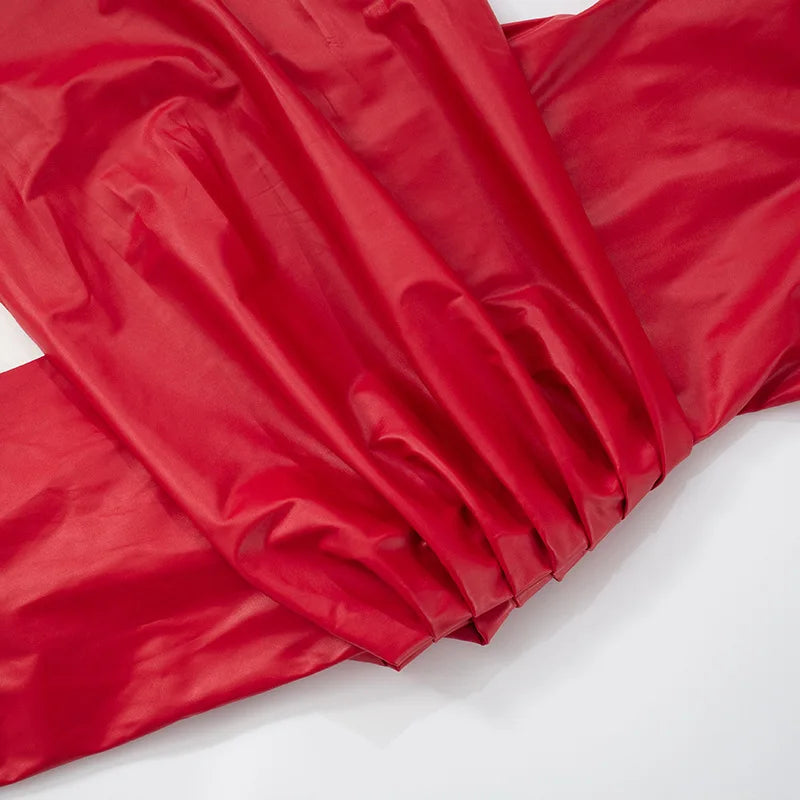 Tiana Pleated Leather Dress
