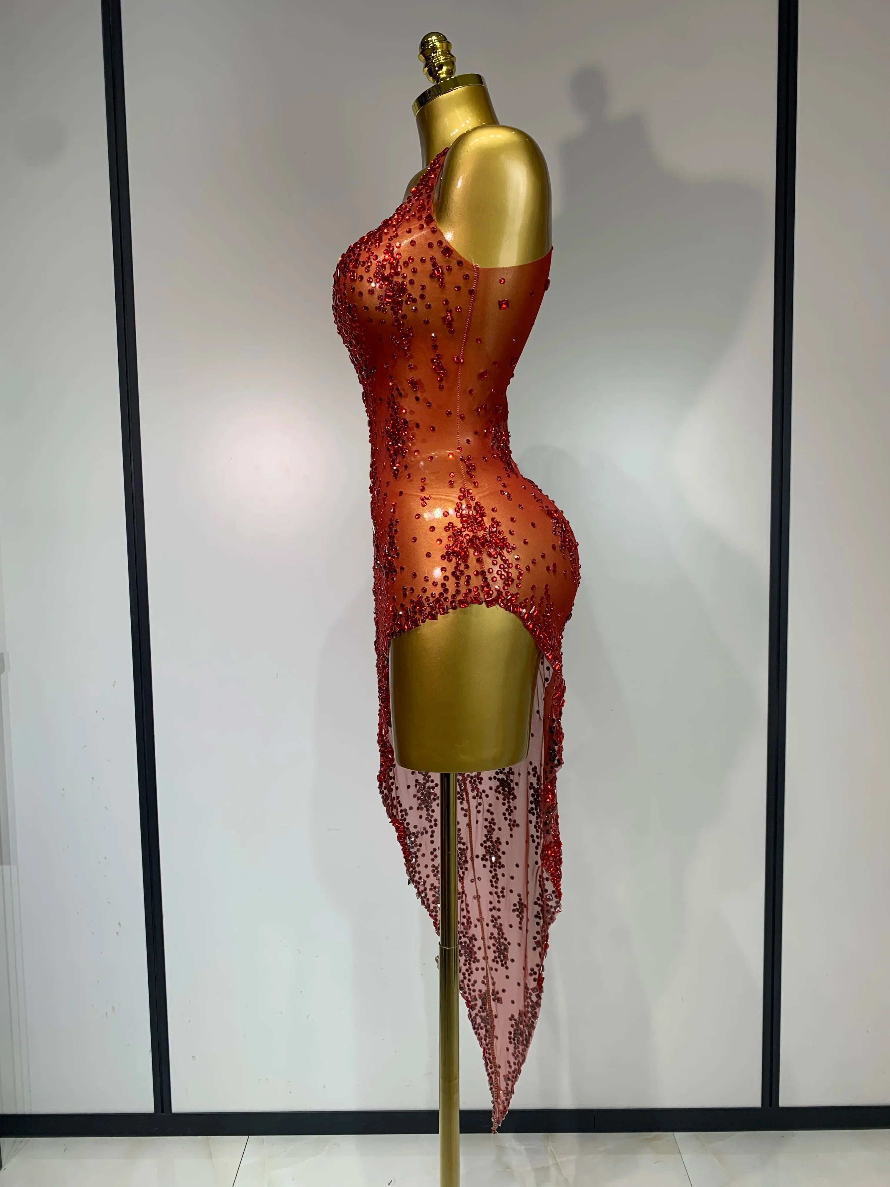Isabella Mesh Dress