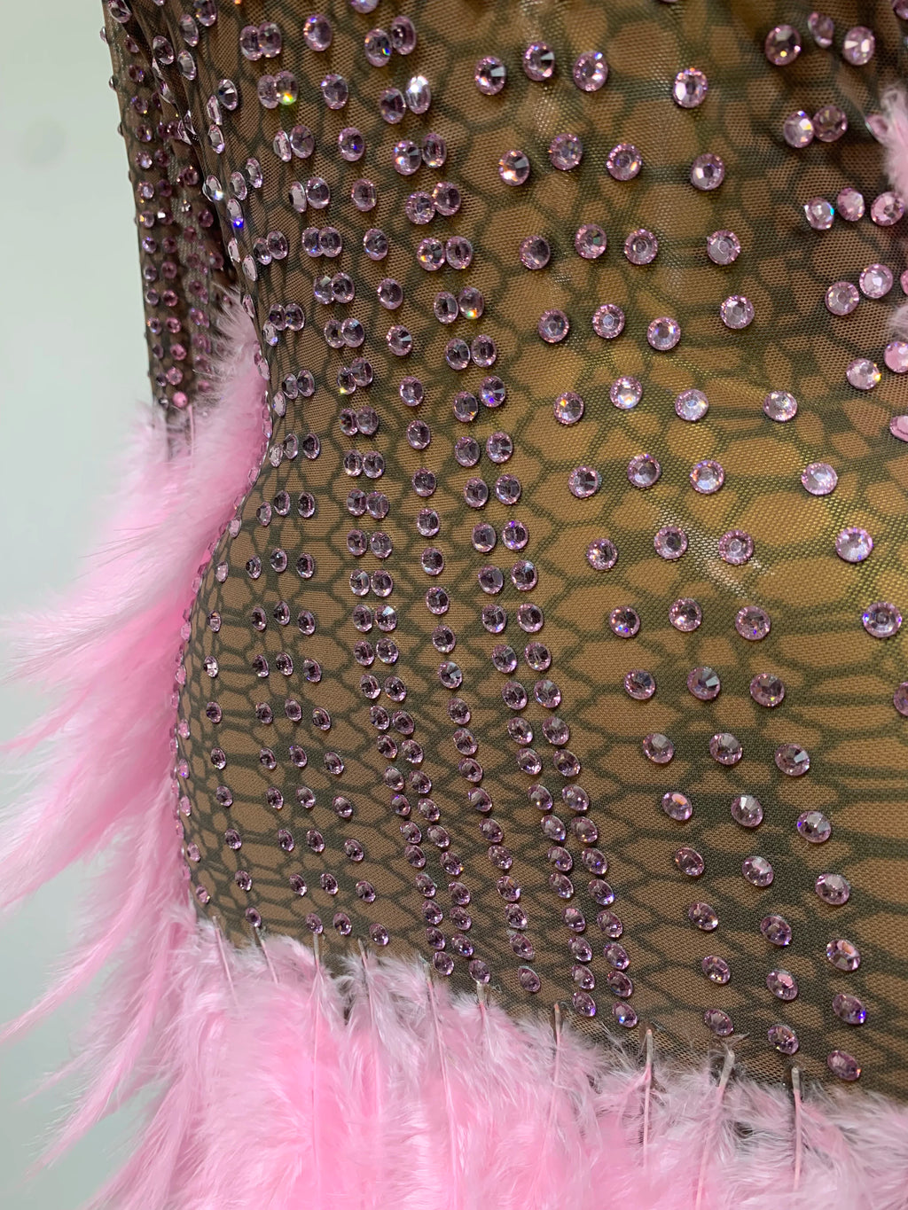 Abbi Mesh Feather Mini Dress