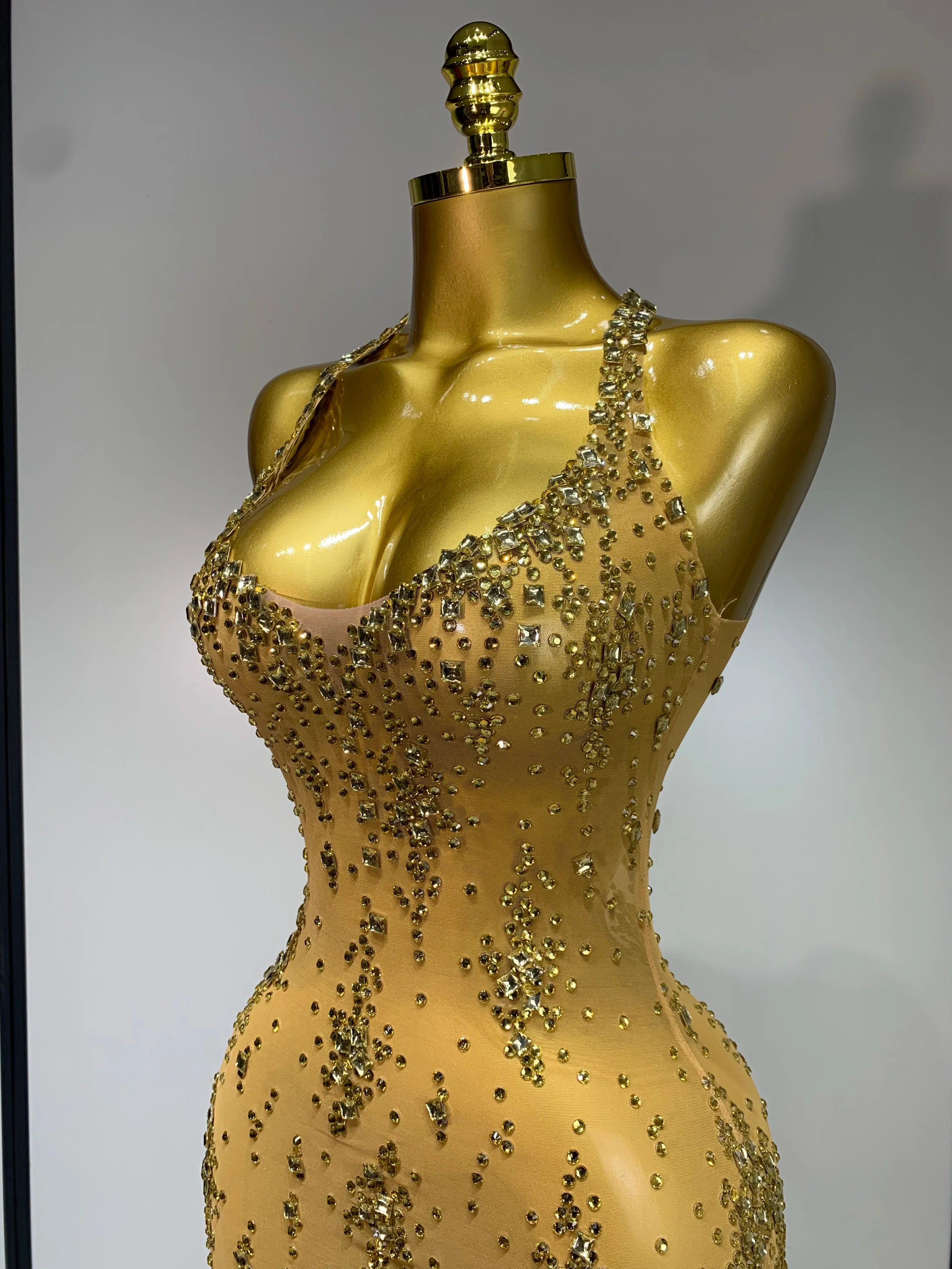 Isabella Mesh Dress