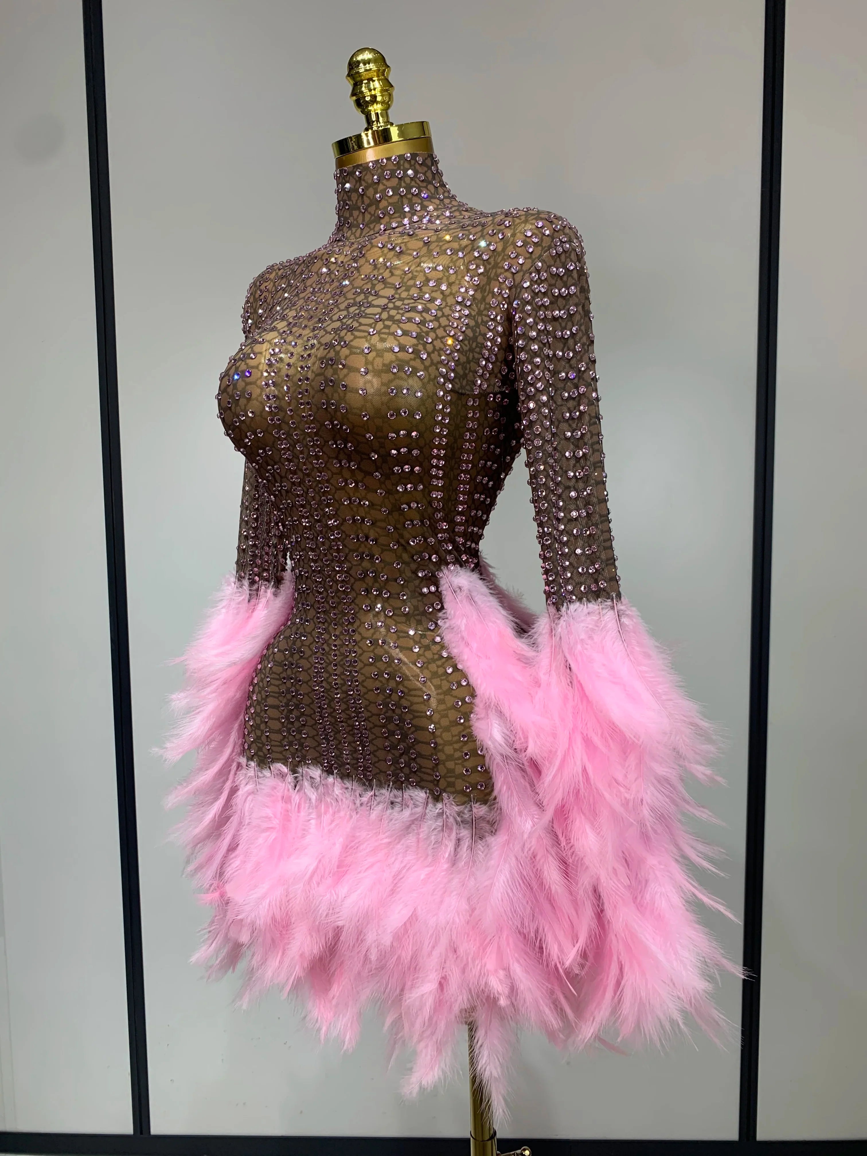 Abbi Mesh Feather Mini Dress
