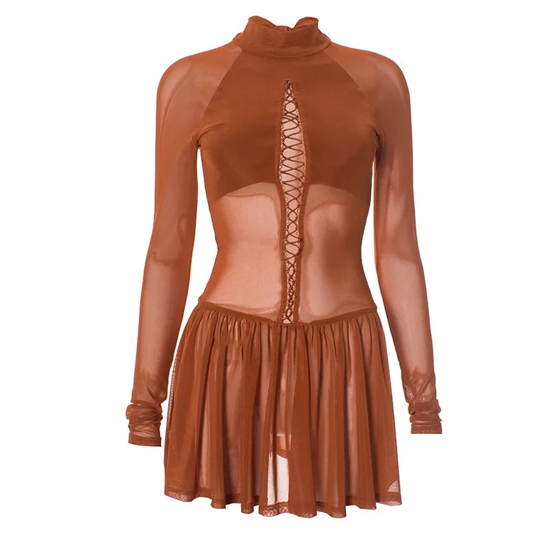 Lenya Mesh Mini Dress
