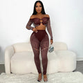 Off-Shoulder Long Sleeve Mesh Set Brown