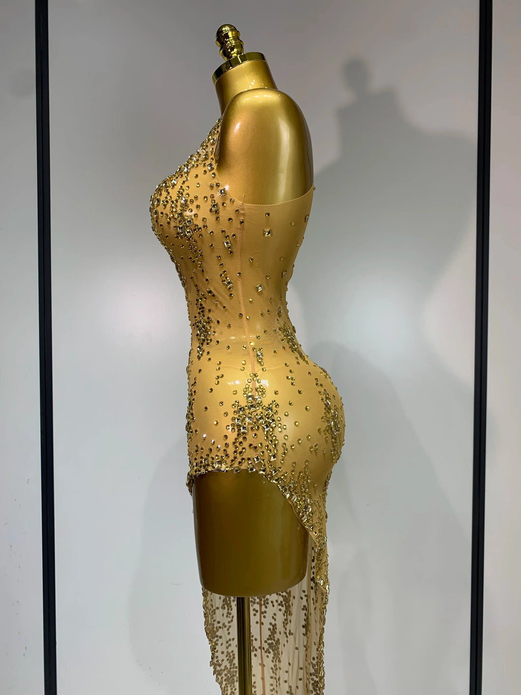 Isabella Mesh Dress