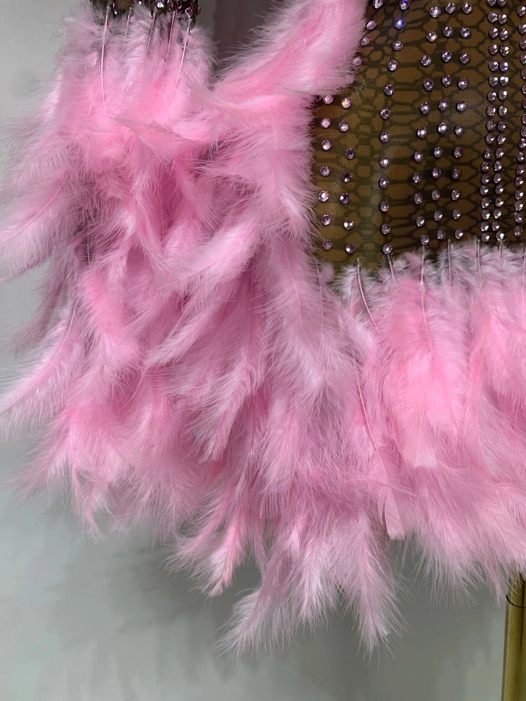 Abbi Mesh Feather Mini Dress