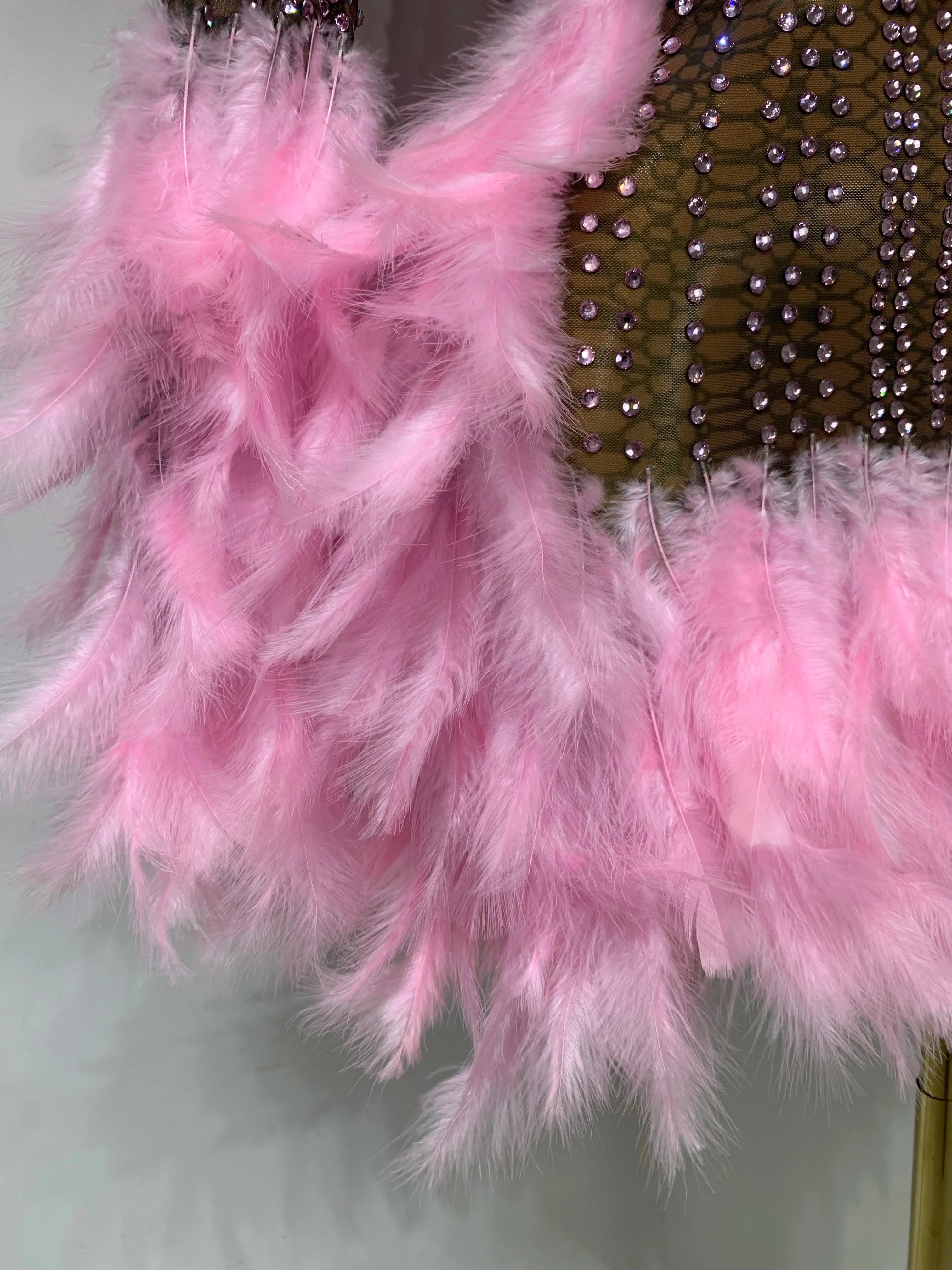 Abbi Mesh Feather Mini Dress