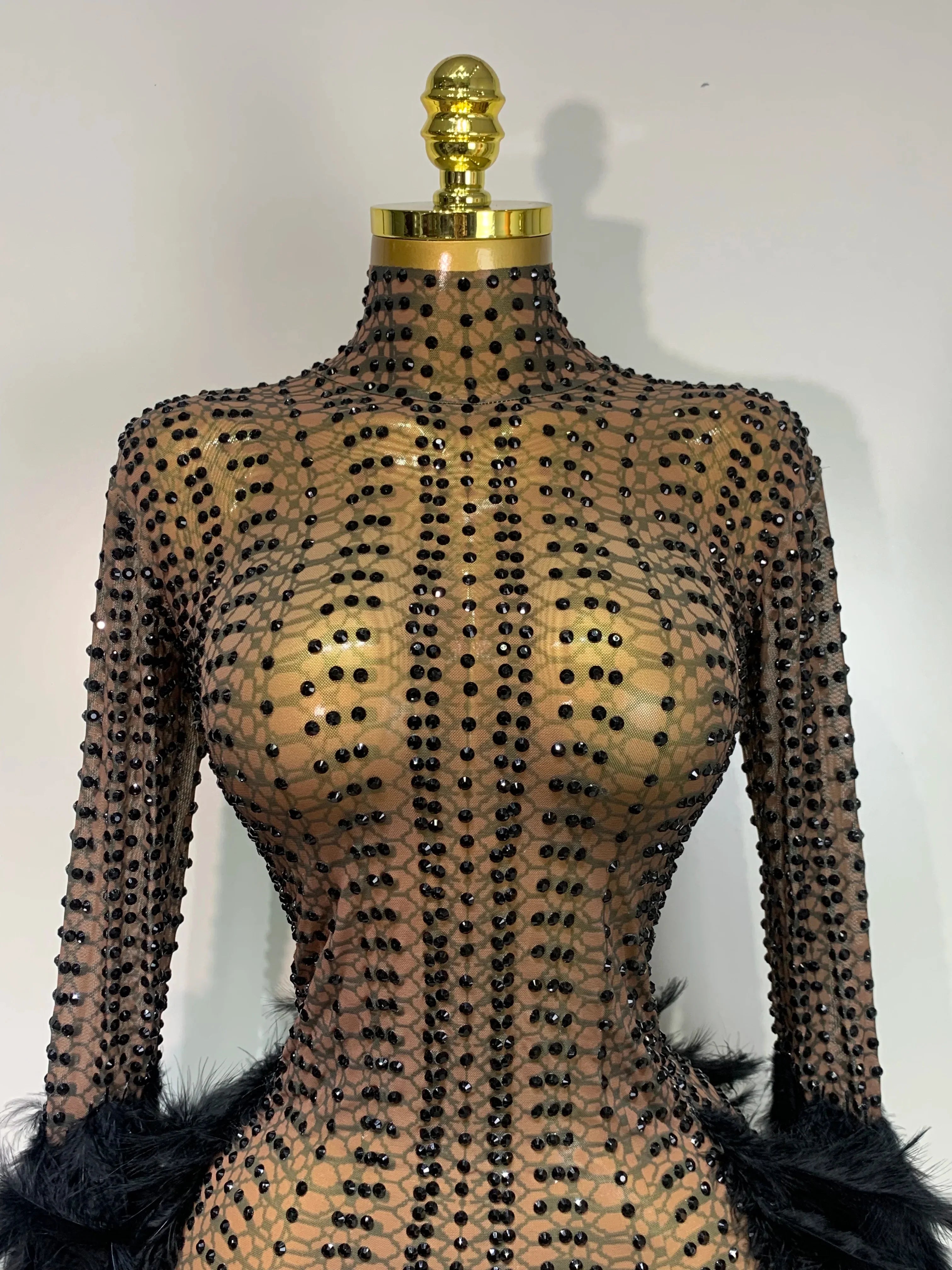 Abbi Mesh Feather Mini Dress