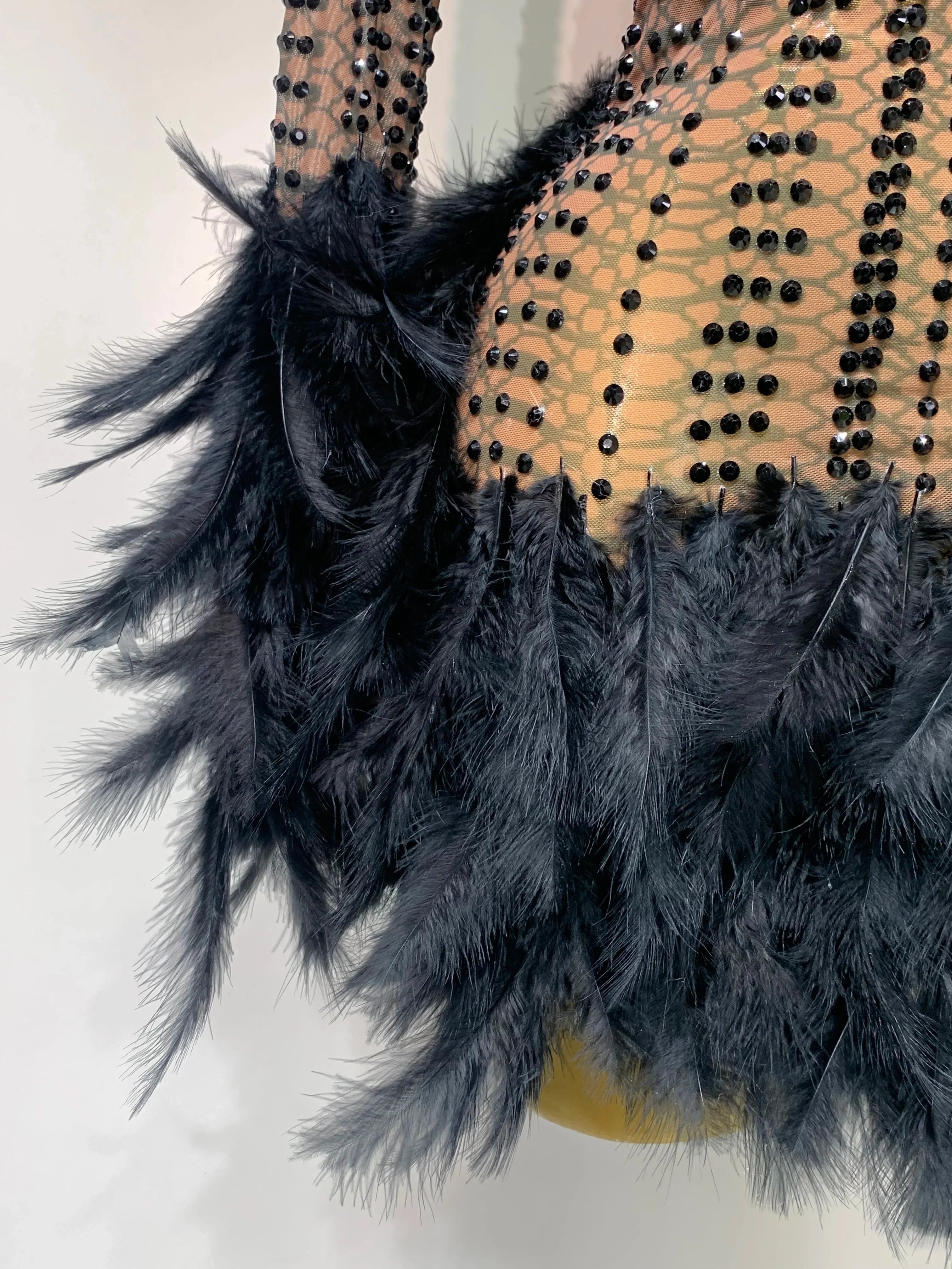 Abbi Mesh Feather Mini Dress