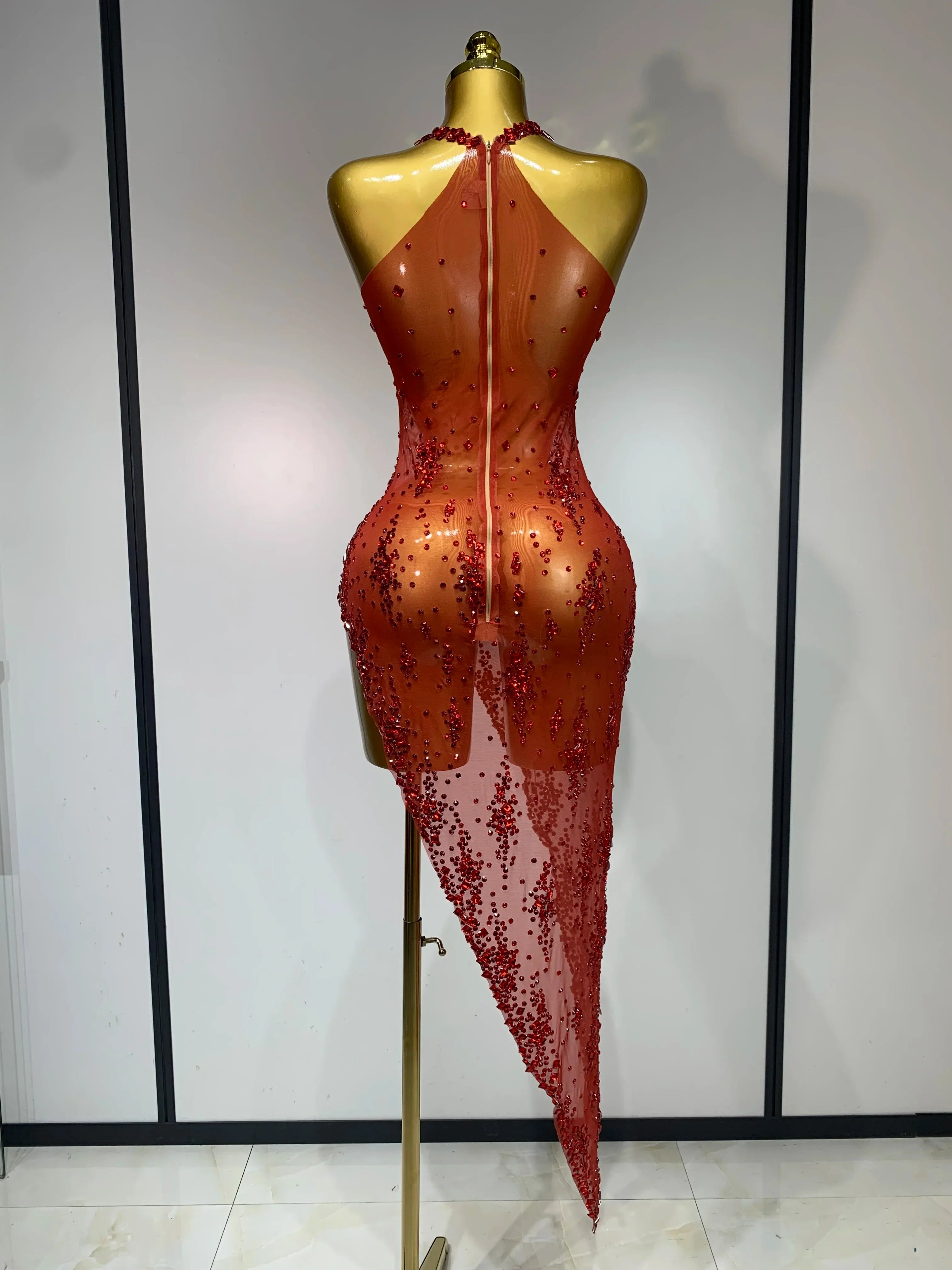 Isabella Mesh Dress